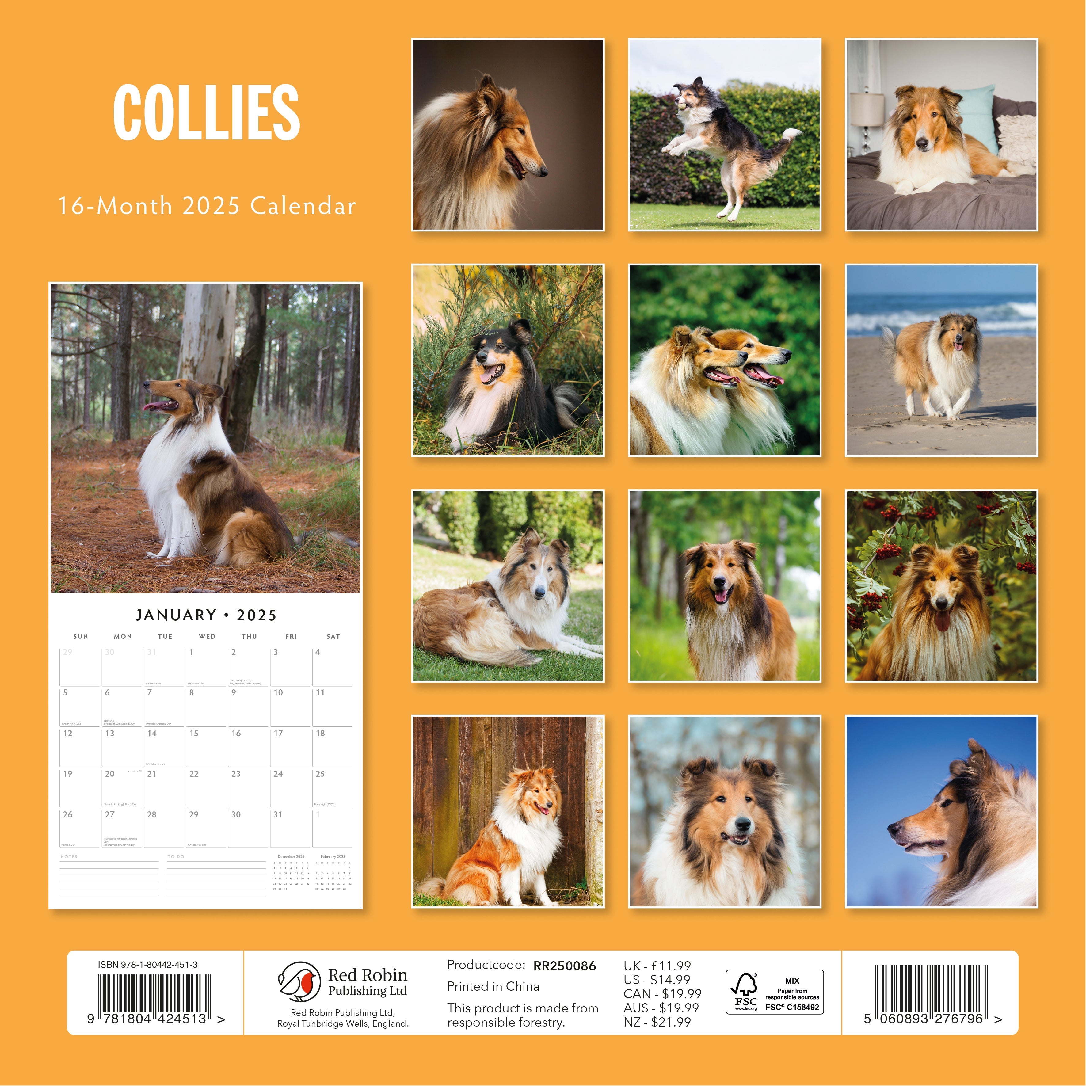 2025 Collies - Square Wall Calendar