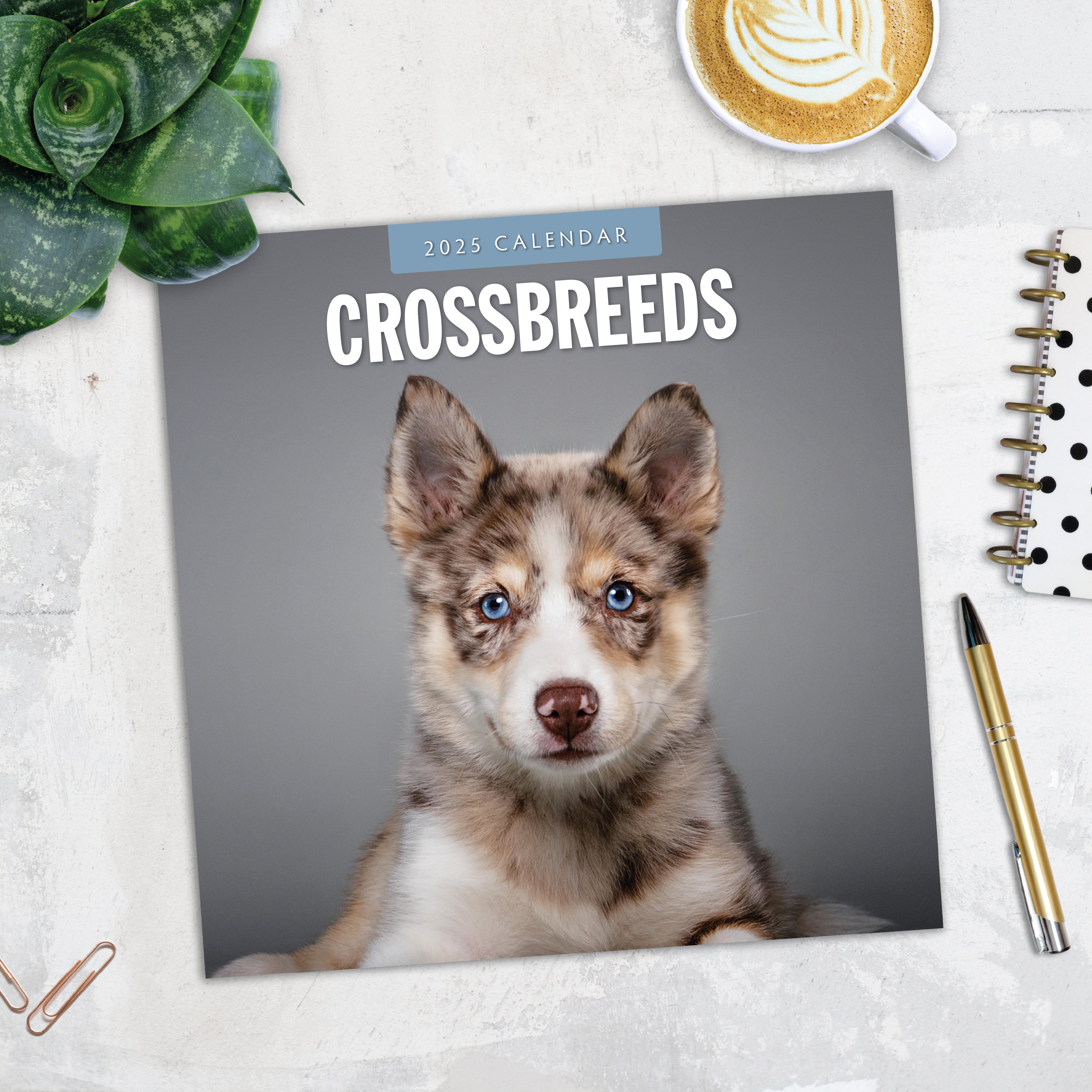 2025 Crossbreeds - Square Wall Calendar