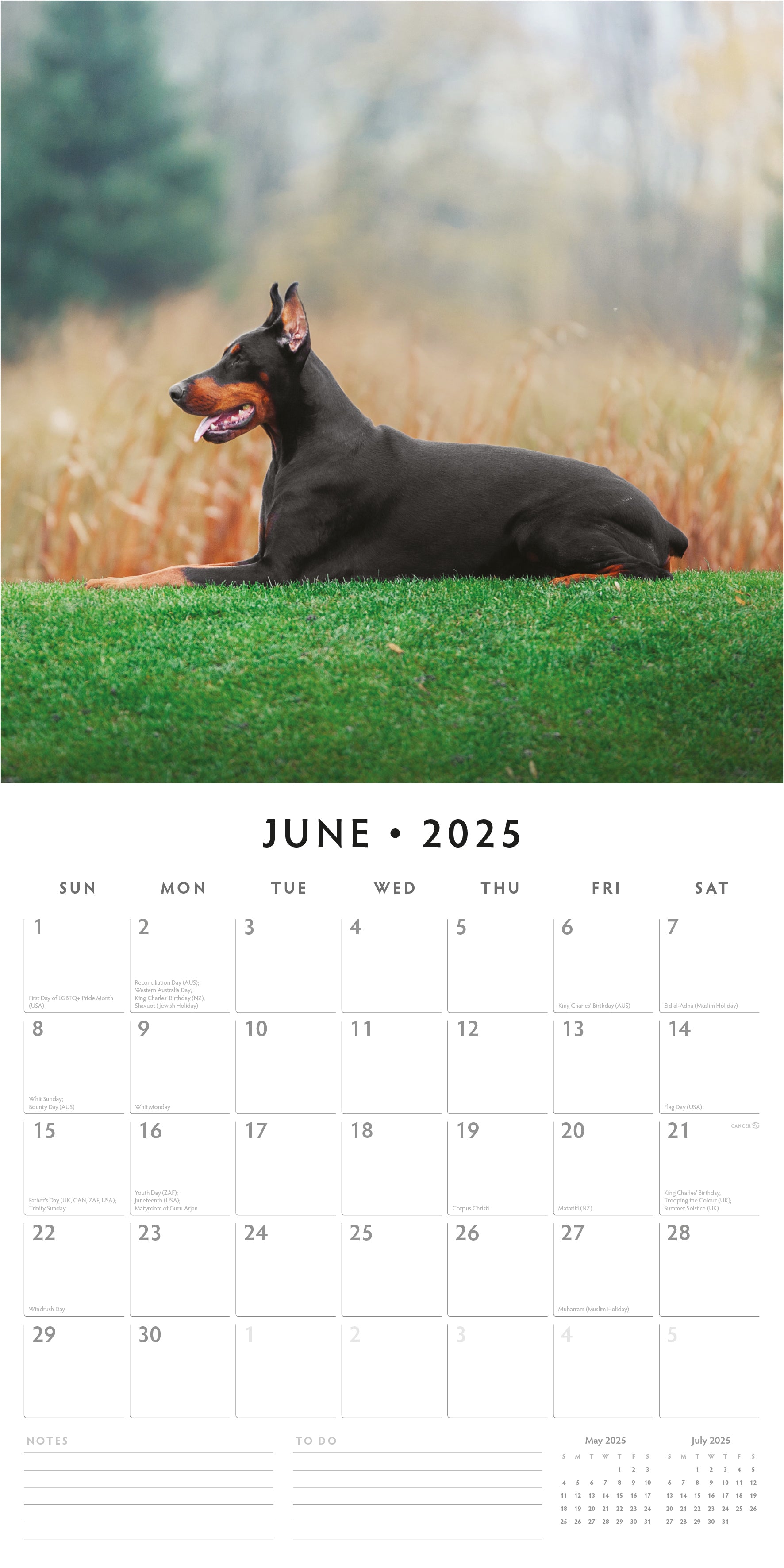 2025 Dobermans - Square Wall Calendar