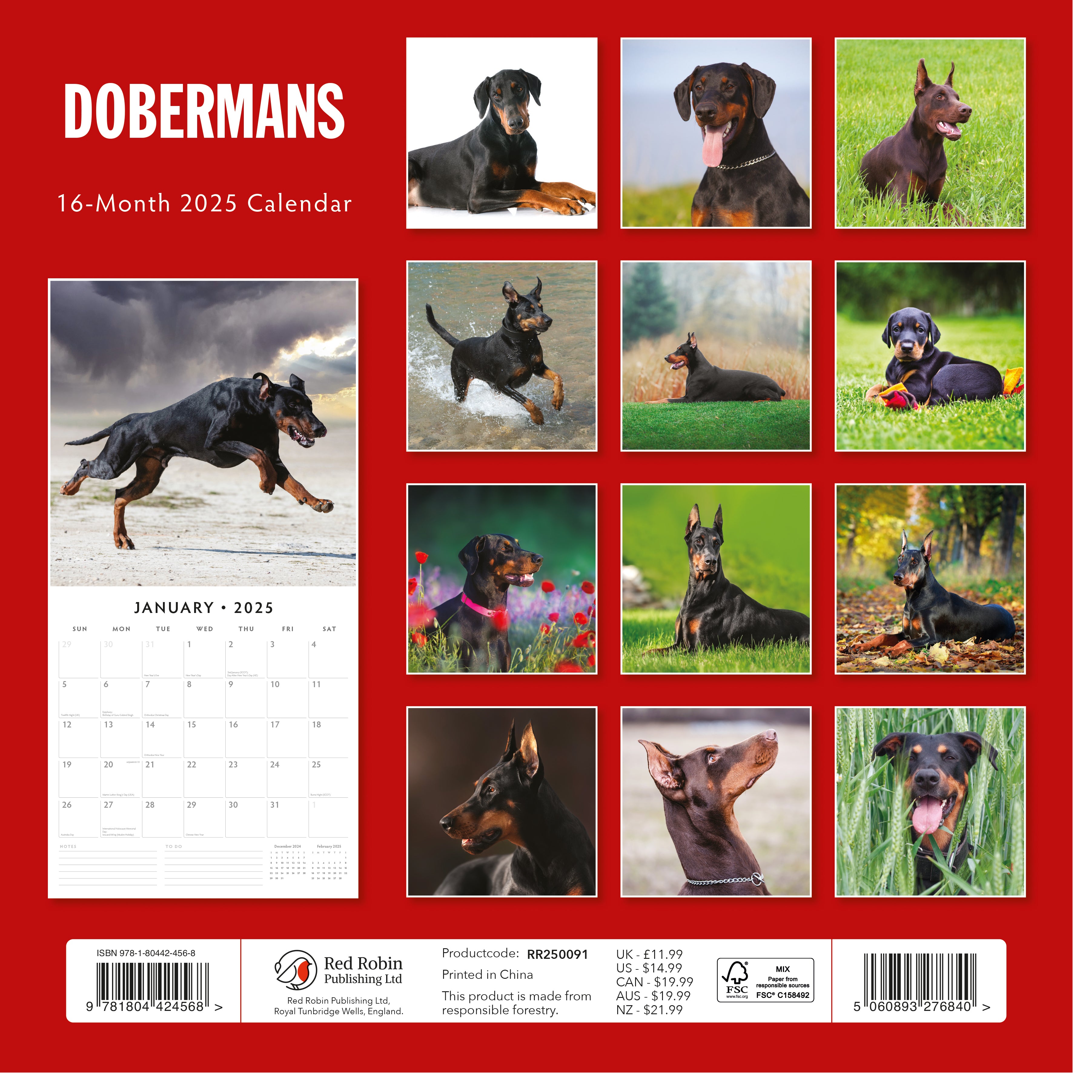 2025 Dobermans - Square Wall Calendar