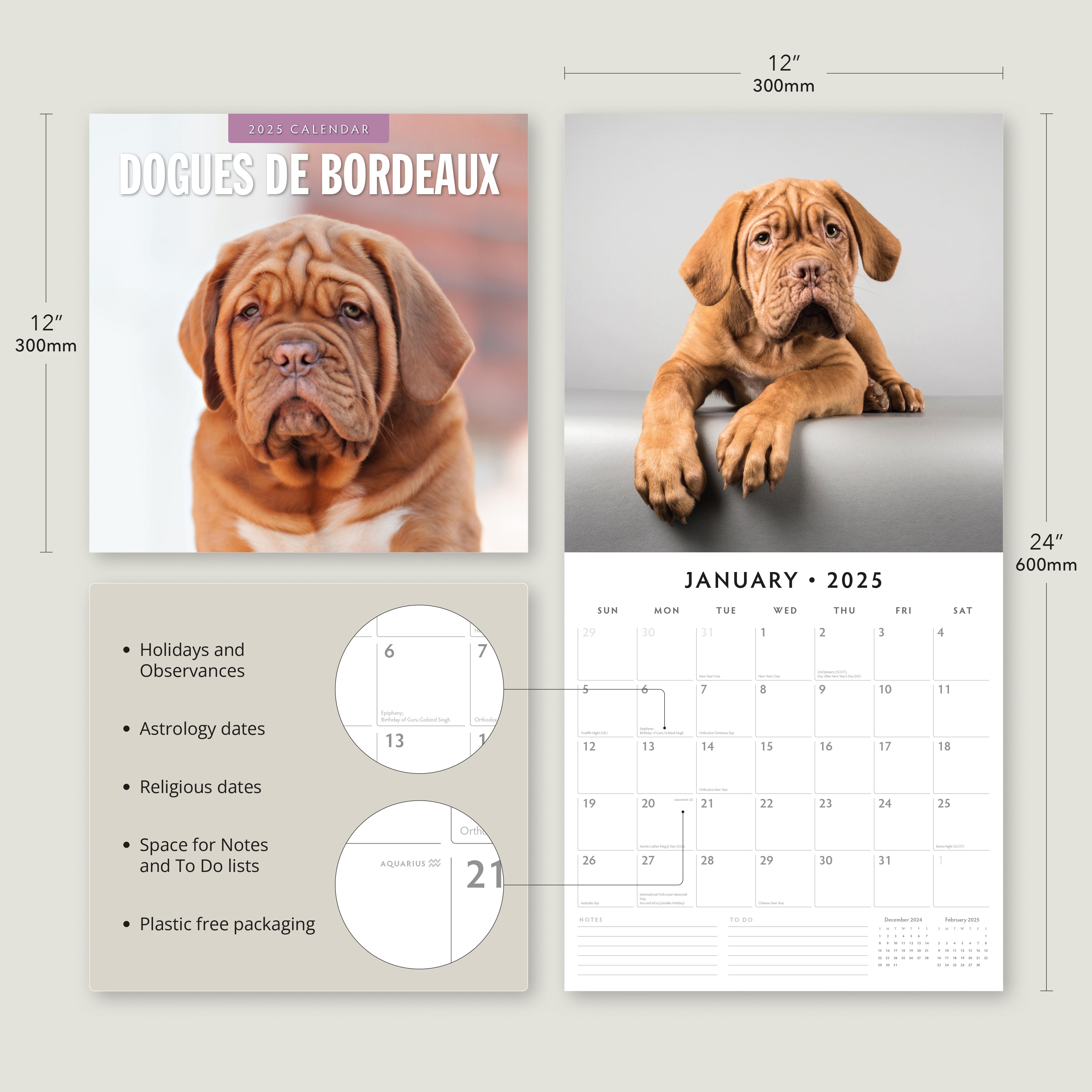 2025 Dogues de Bordeaux - Square Wall Calendar