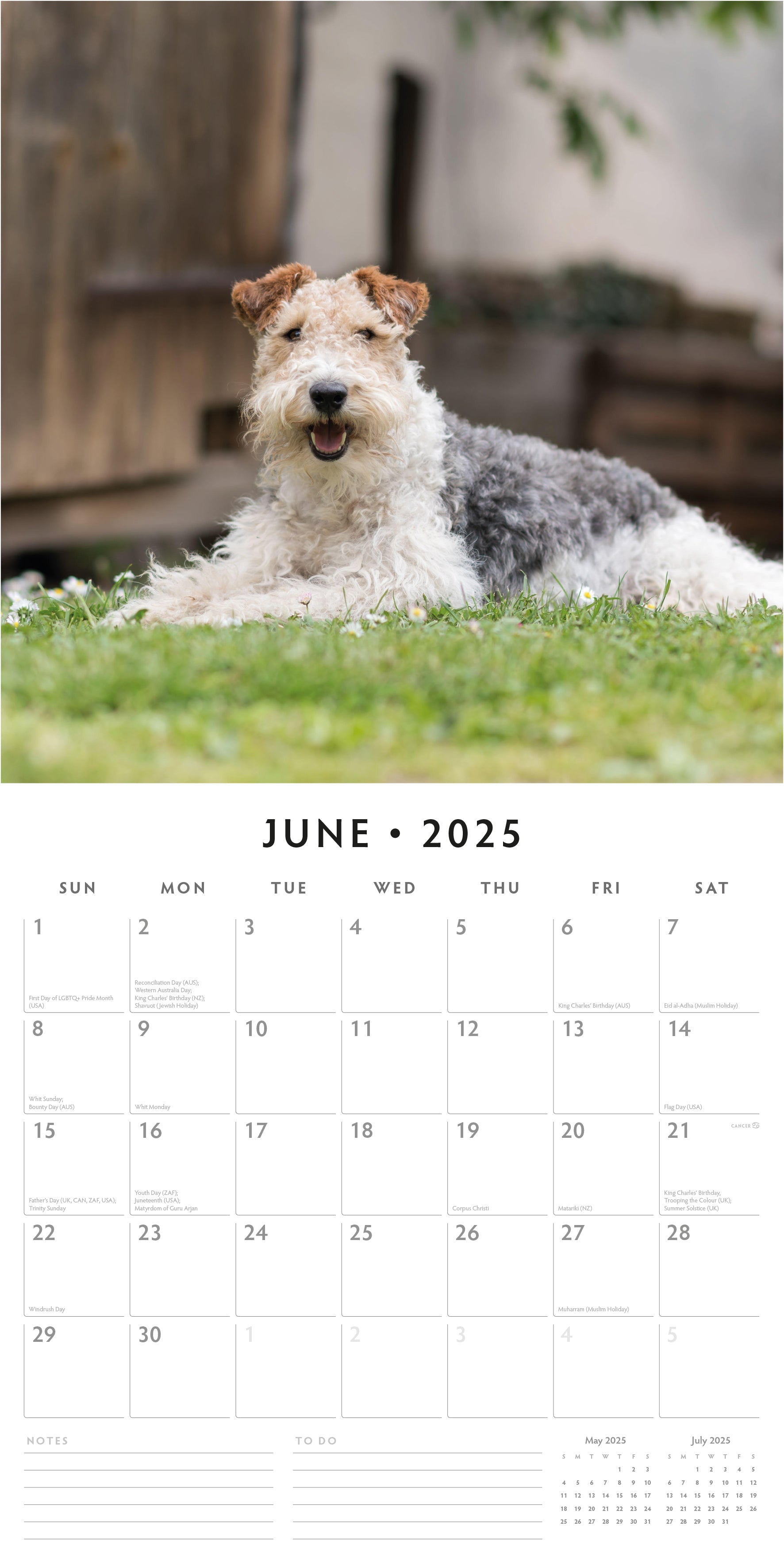 2025 Fox Terriers - Square Wall Calendar