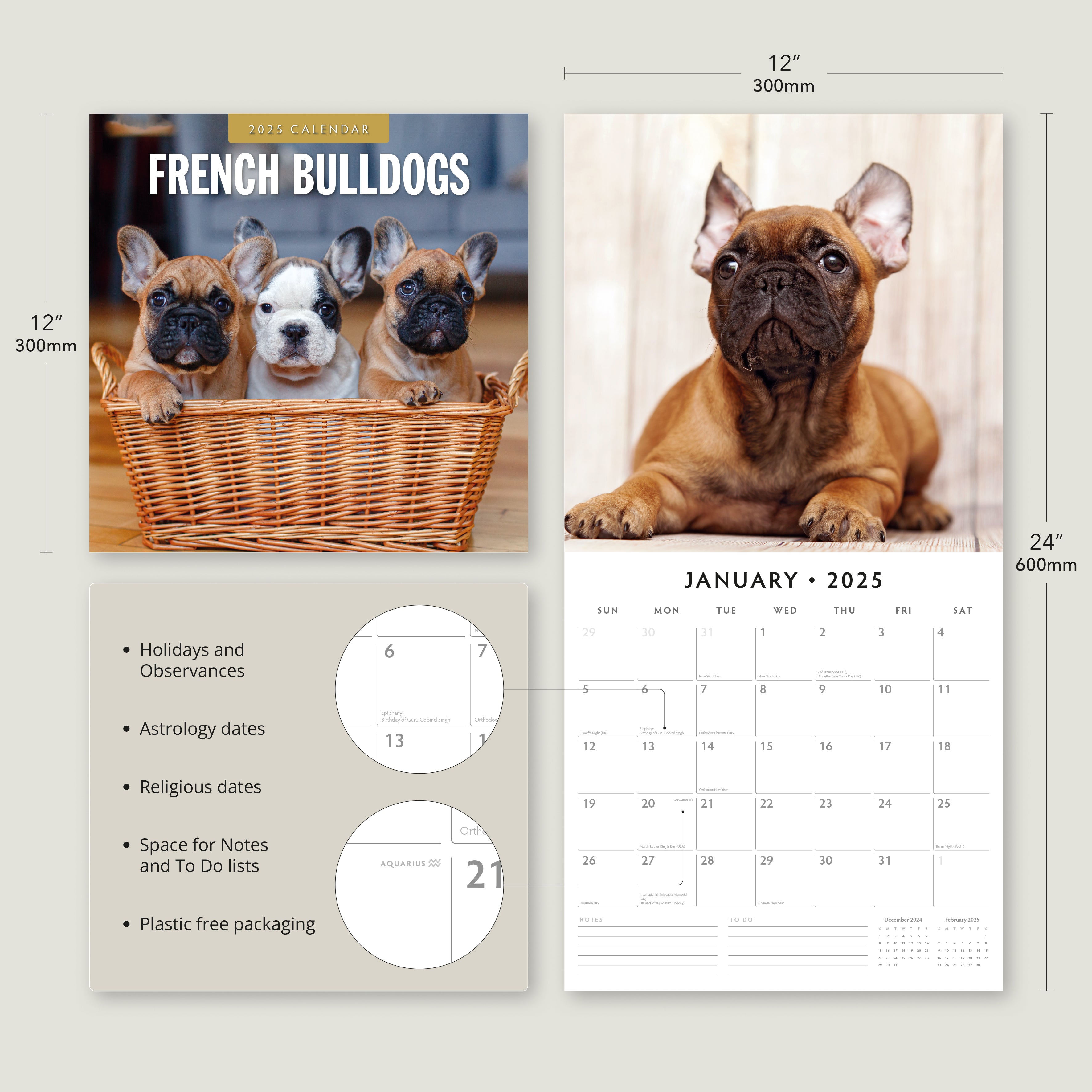 2025 French Bulldogs - Square Wall Calendar