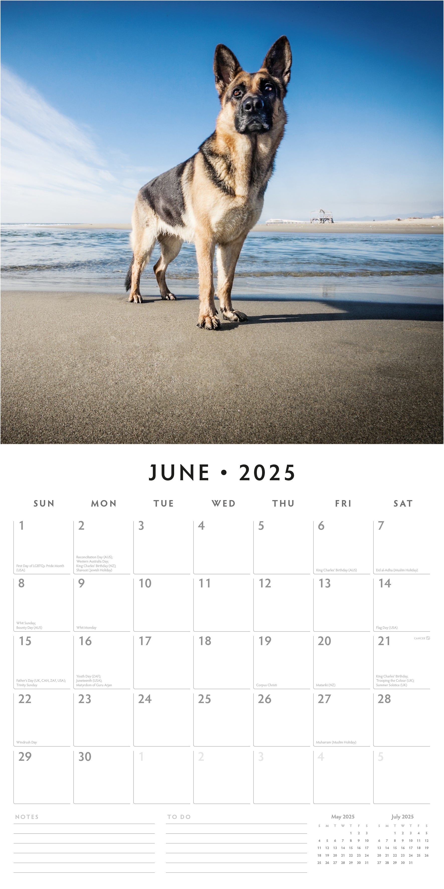 2025 German Shepherds - Square Wall Calendar