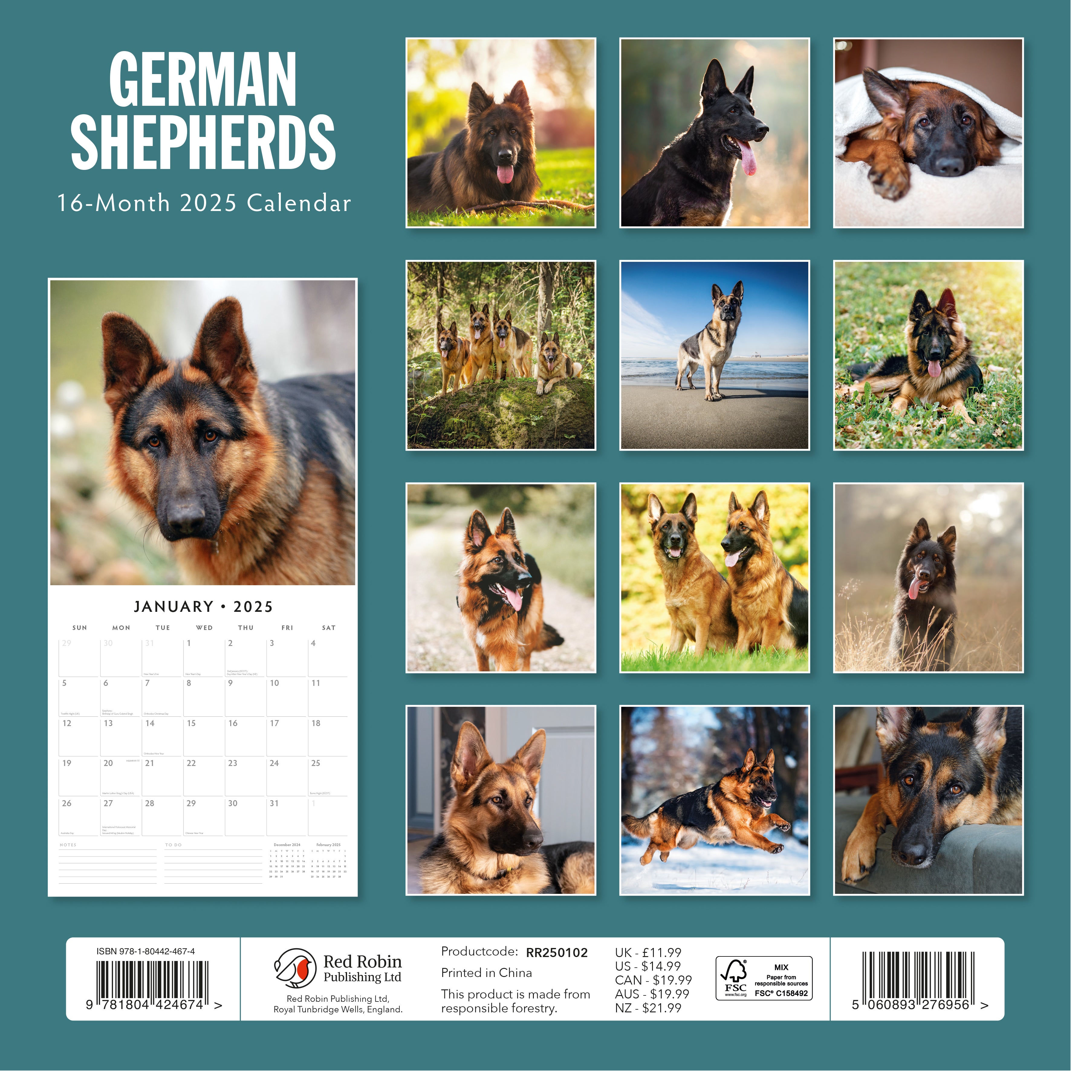 2025 German Shepherds - Square Wall Calendar