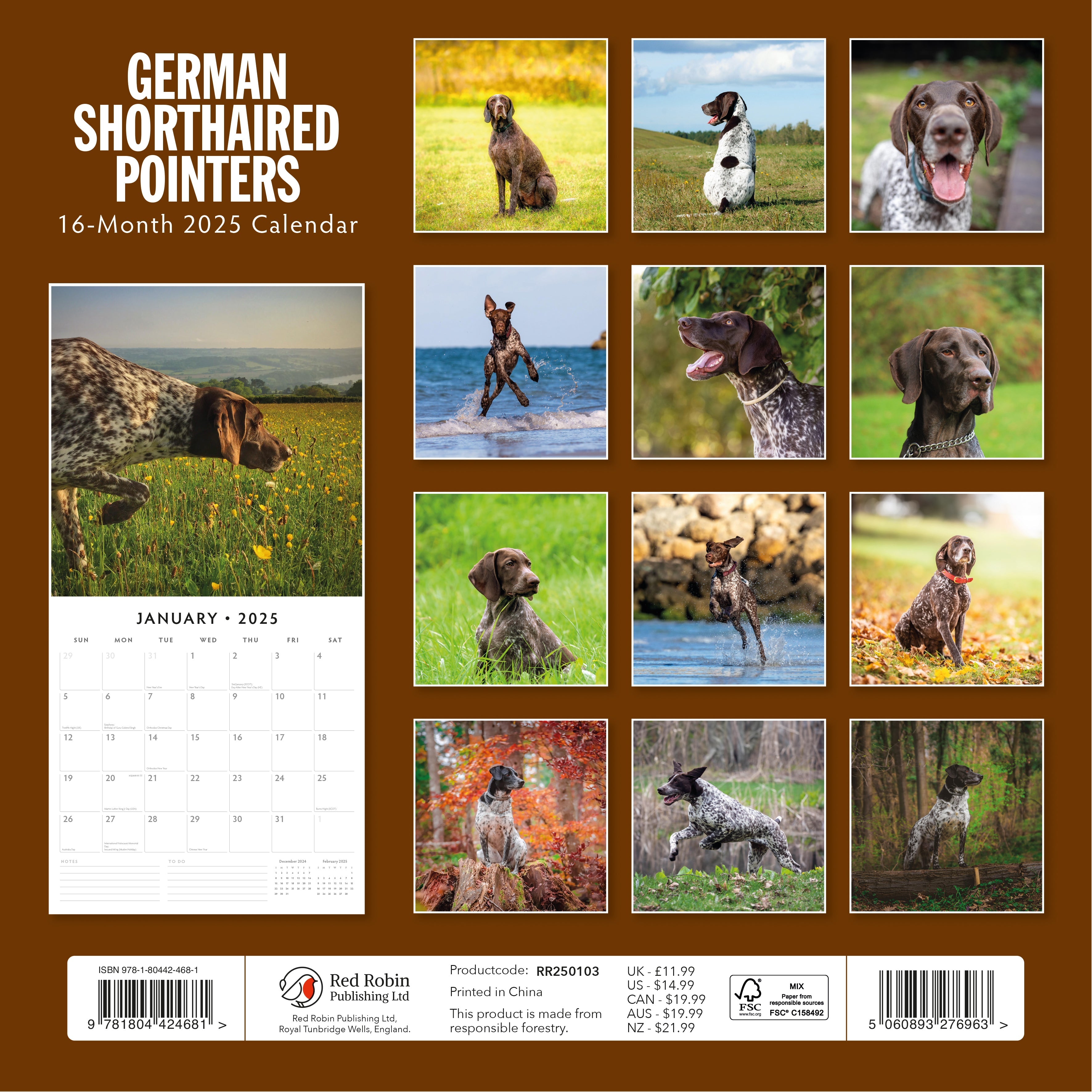 2025 German Shorthaired Pointers - Square Wall Calendar