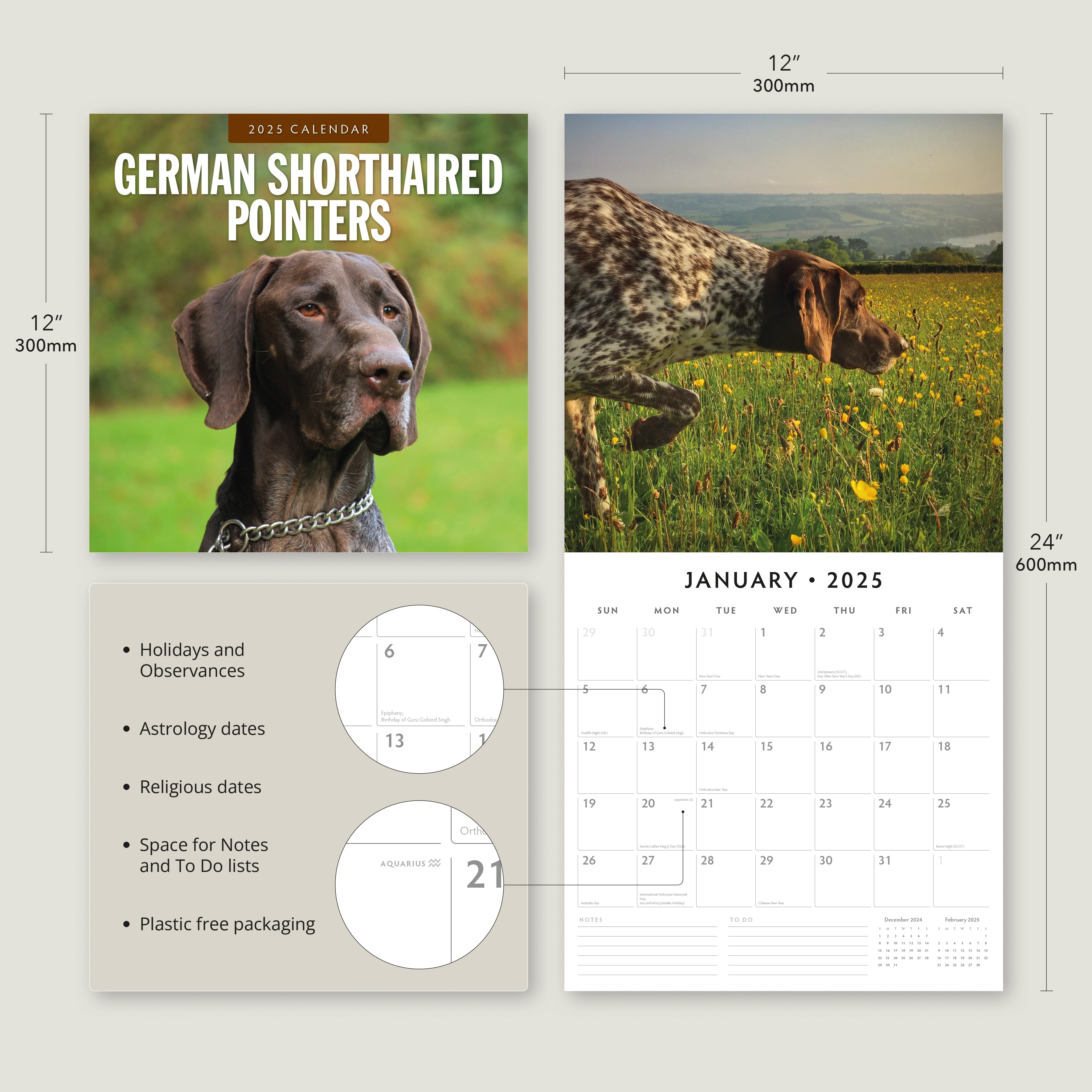 2025 German Shorthaired Pointers - Square Wall Calendar