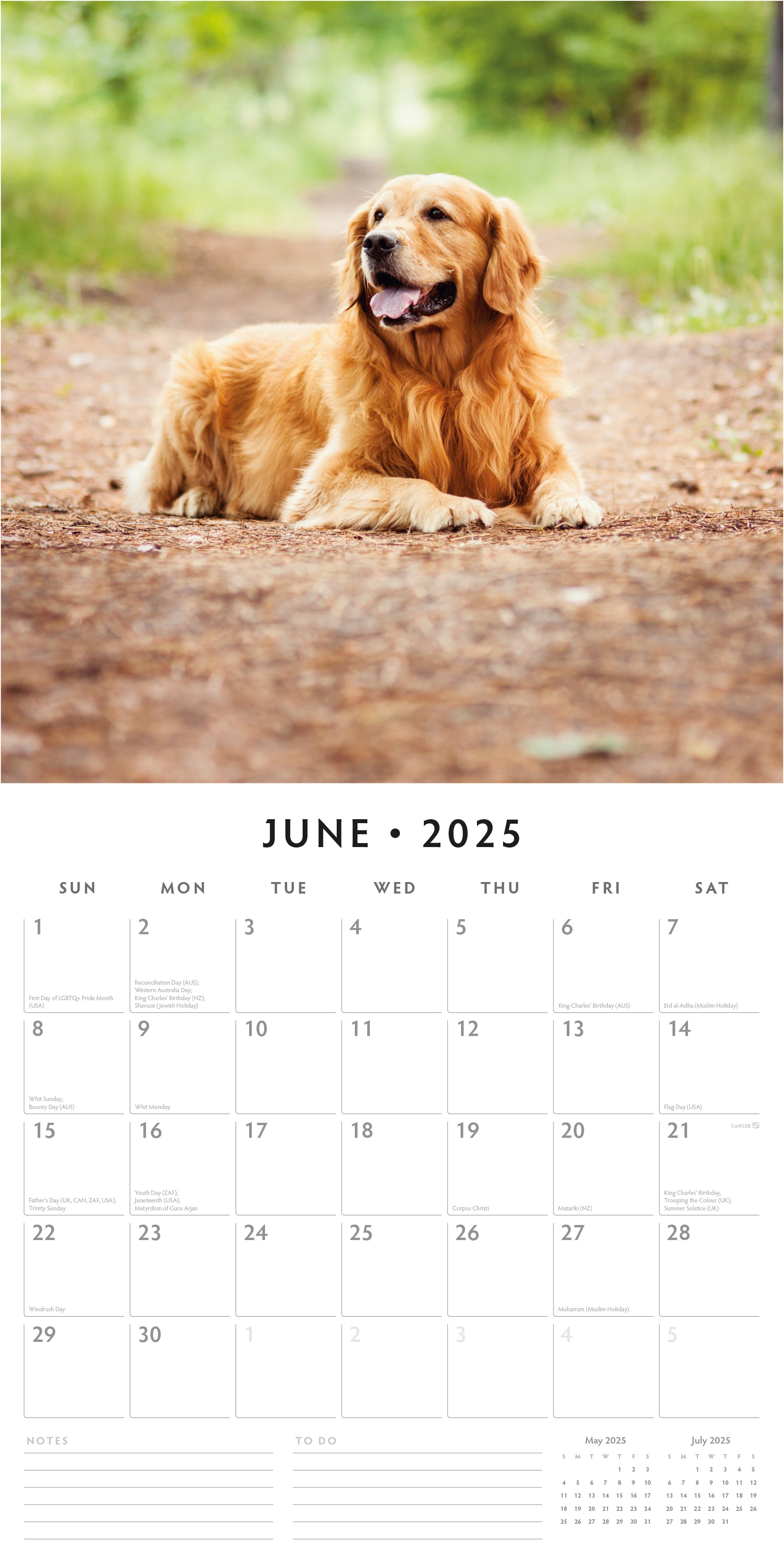 2025 Golden Retrievers - Square Wall Calendar