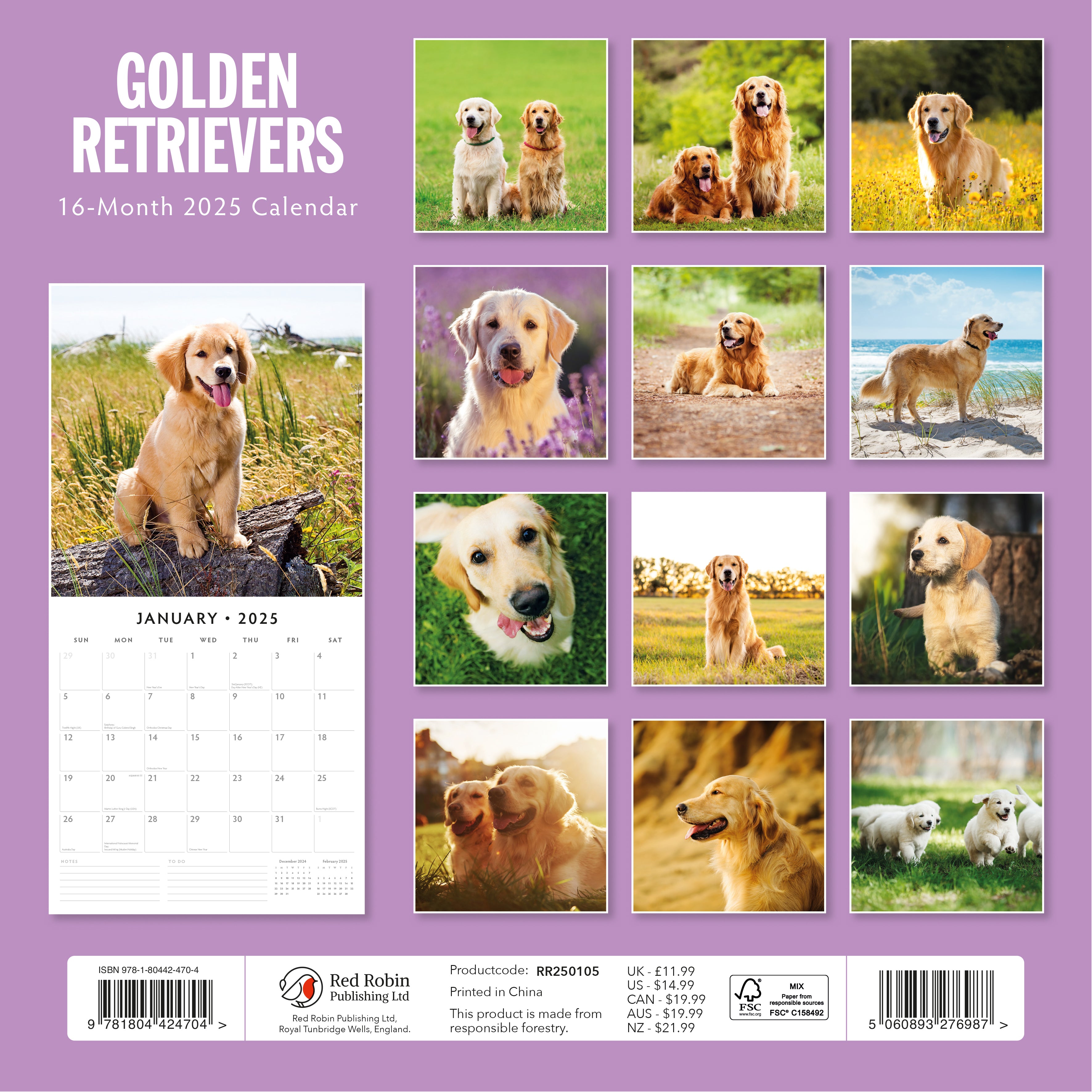 2025 Golden Retrievers - Square Wall Calendar