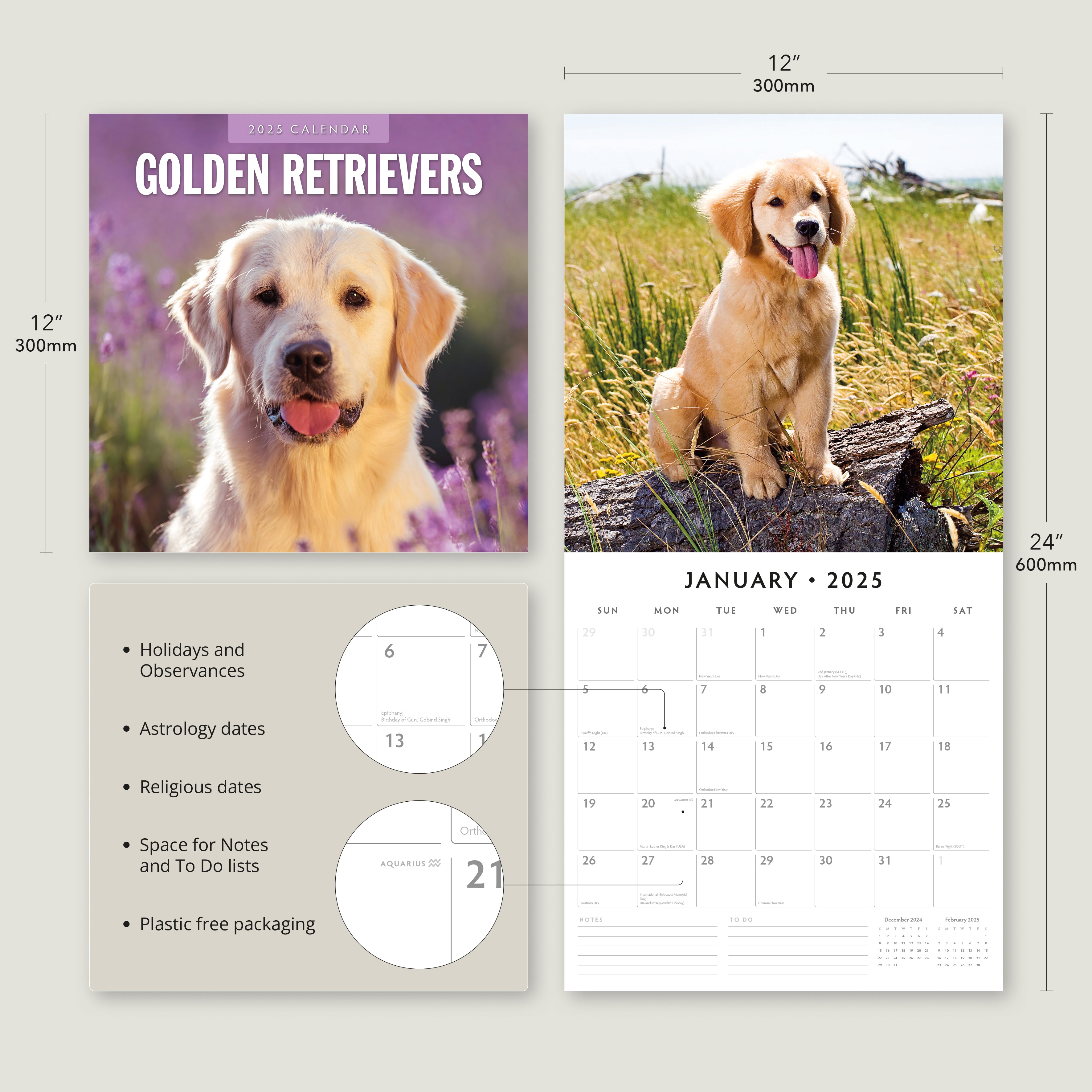 2025 Golden Retrievers - Square Wall Calendar