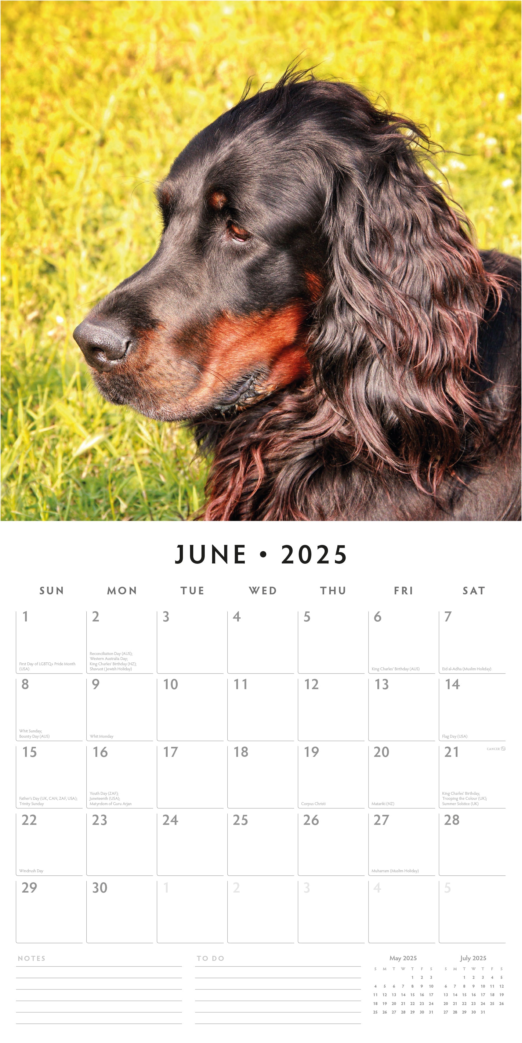 2025 Gordon Setters - Square Wall Calendar