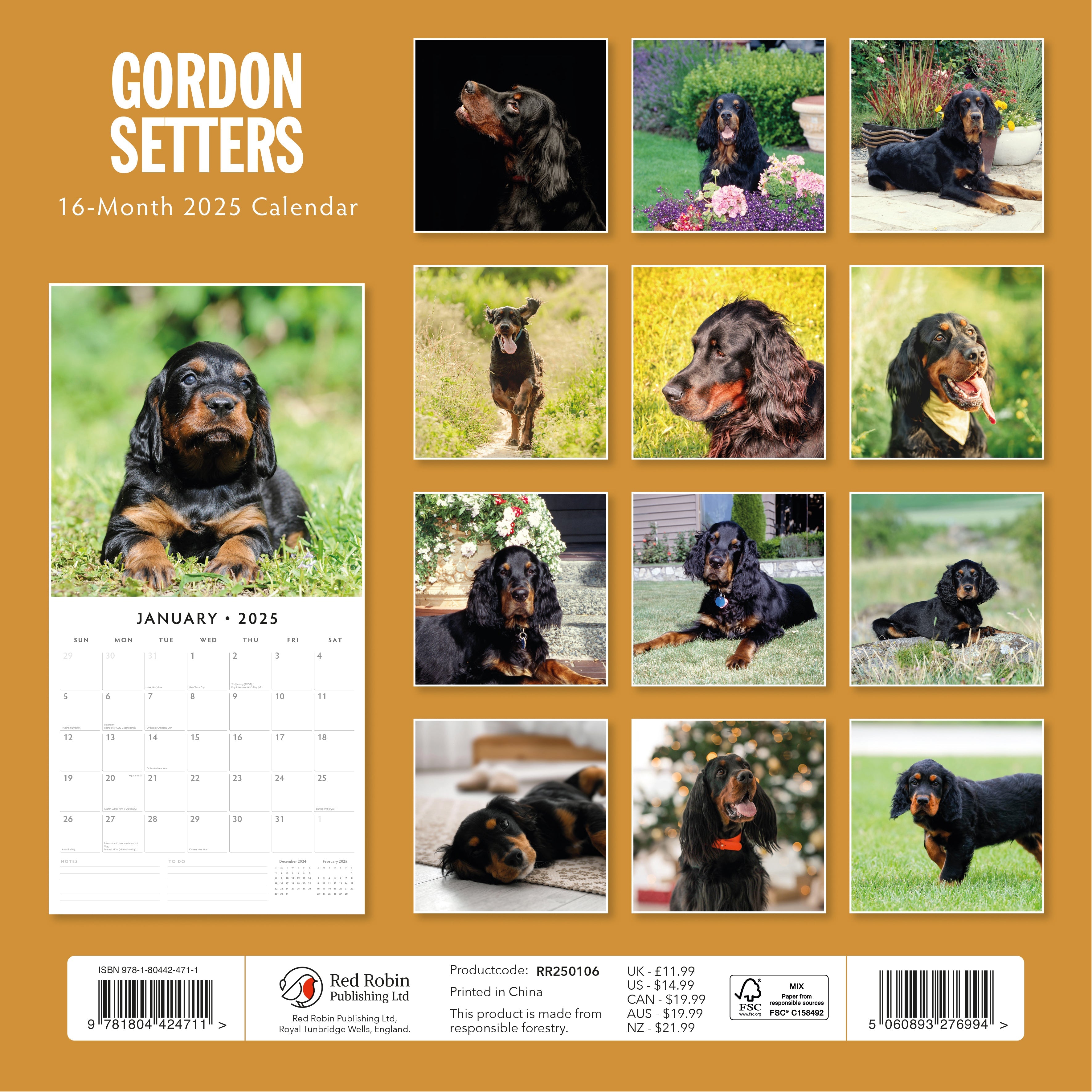 2025 Gordon Setters - Square Wall Calendar