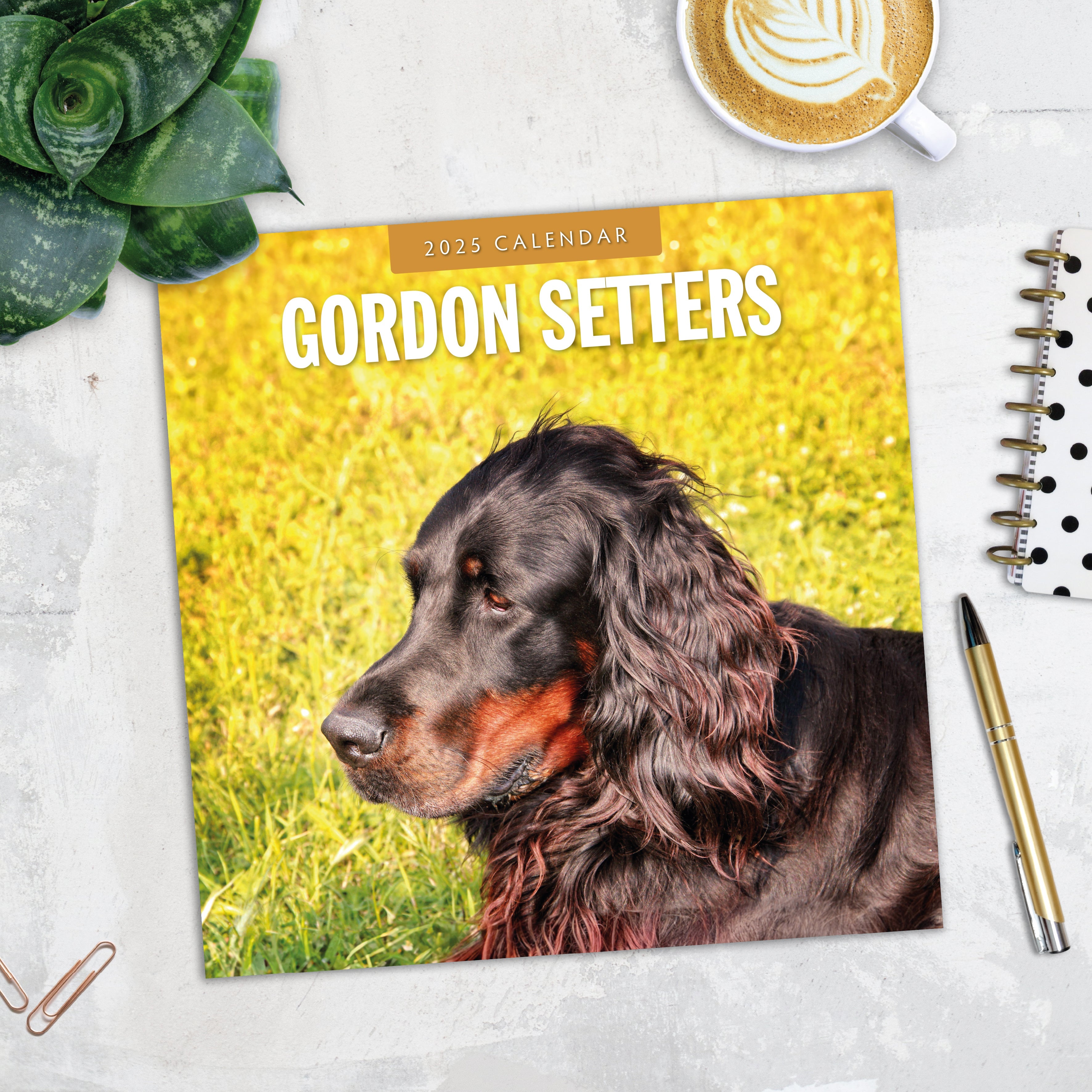 2025 Gordon Setters - Square Wall Calendar