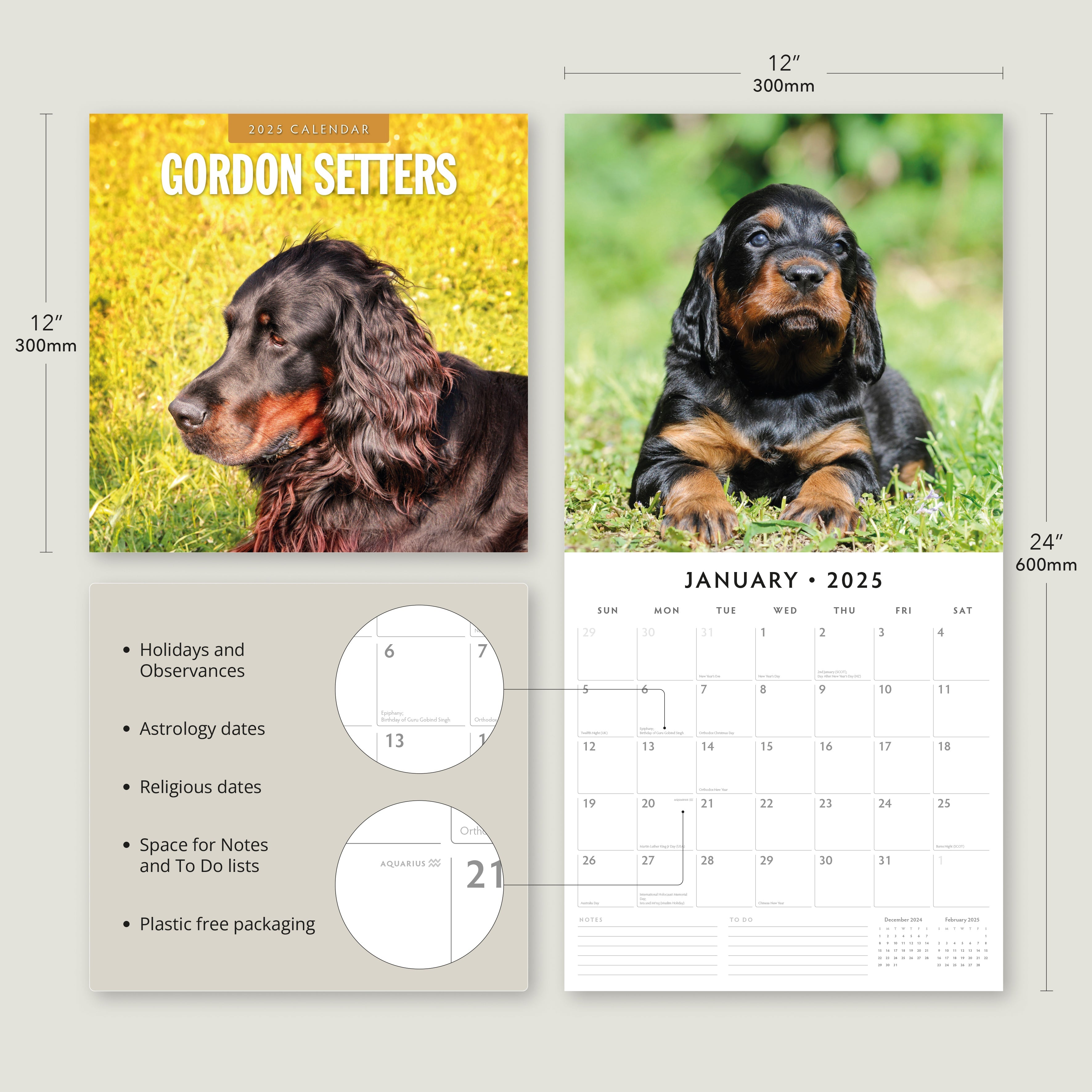 2025 Gordon Setters - Square Wall Calendar