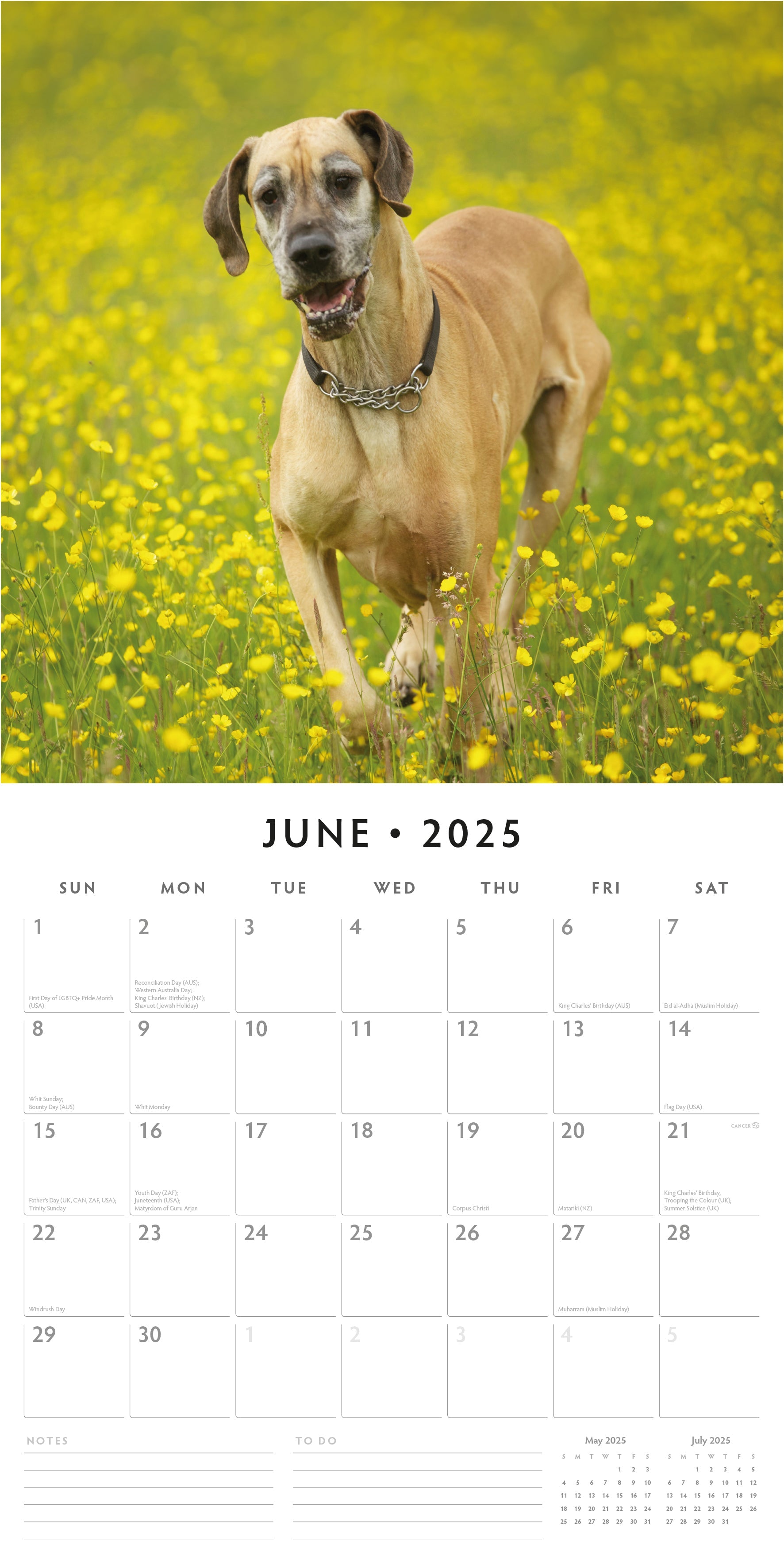 2025 Great Danes - Square Wall Calendar