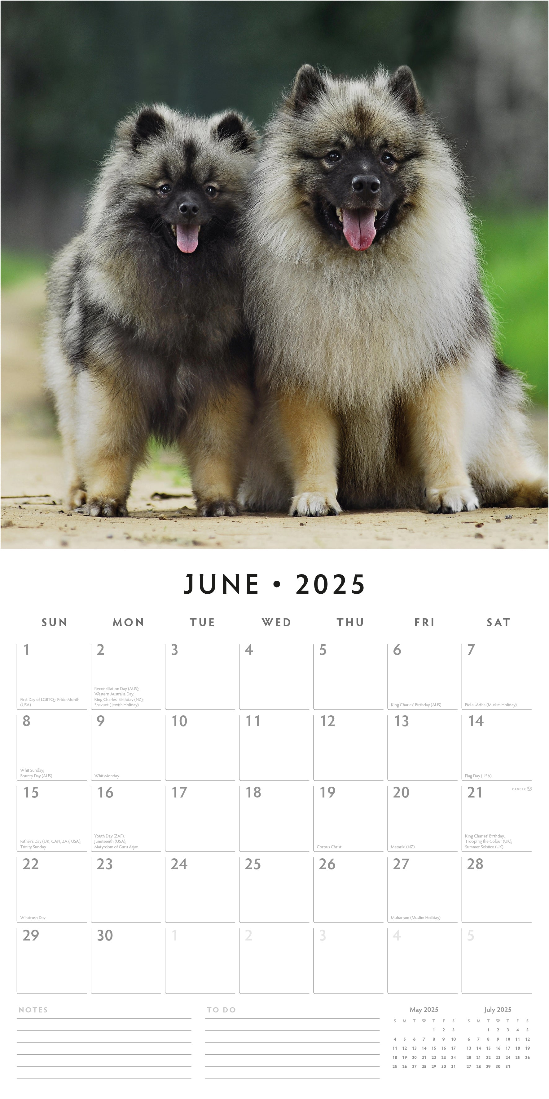 2025 Keeshonds - Square Wall Calendar