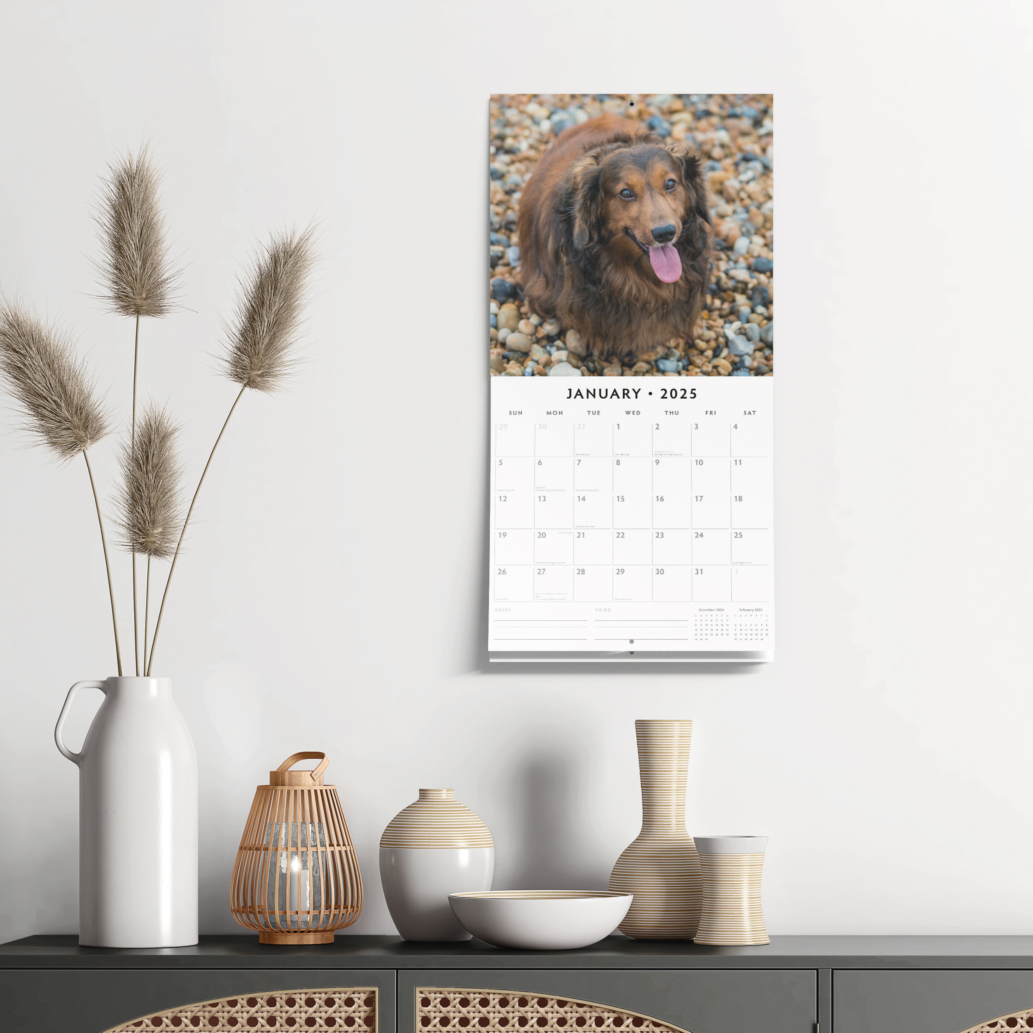 2025 Long-Haired Dachshunds - Square Wall Calendar