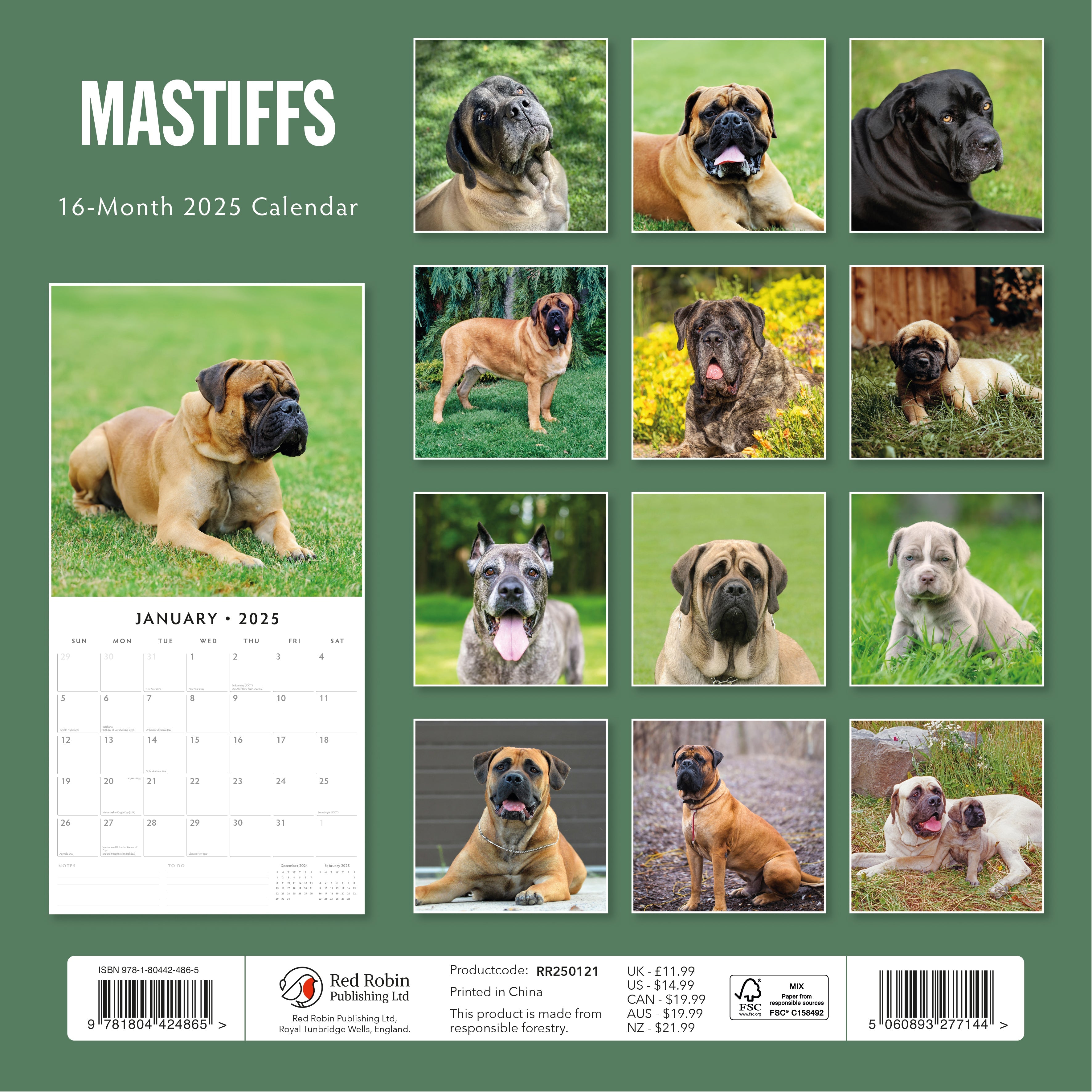 2025 Mastiffs - Square Wall Calendar