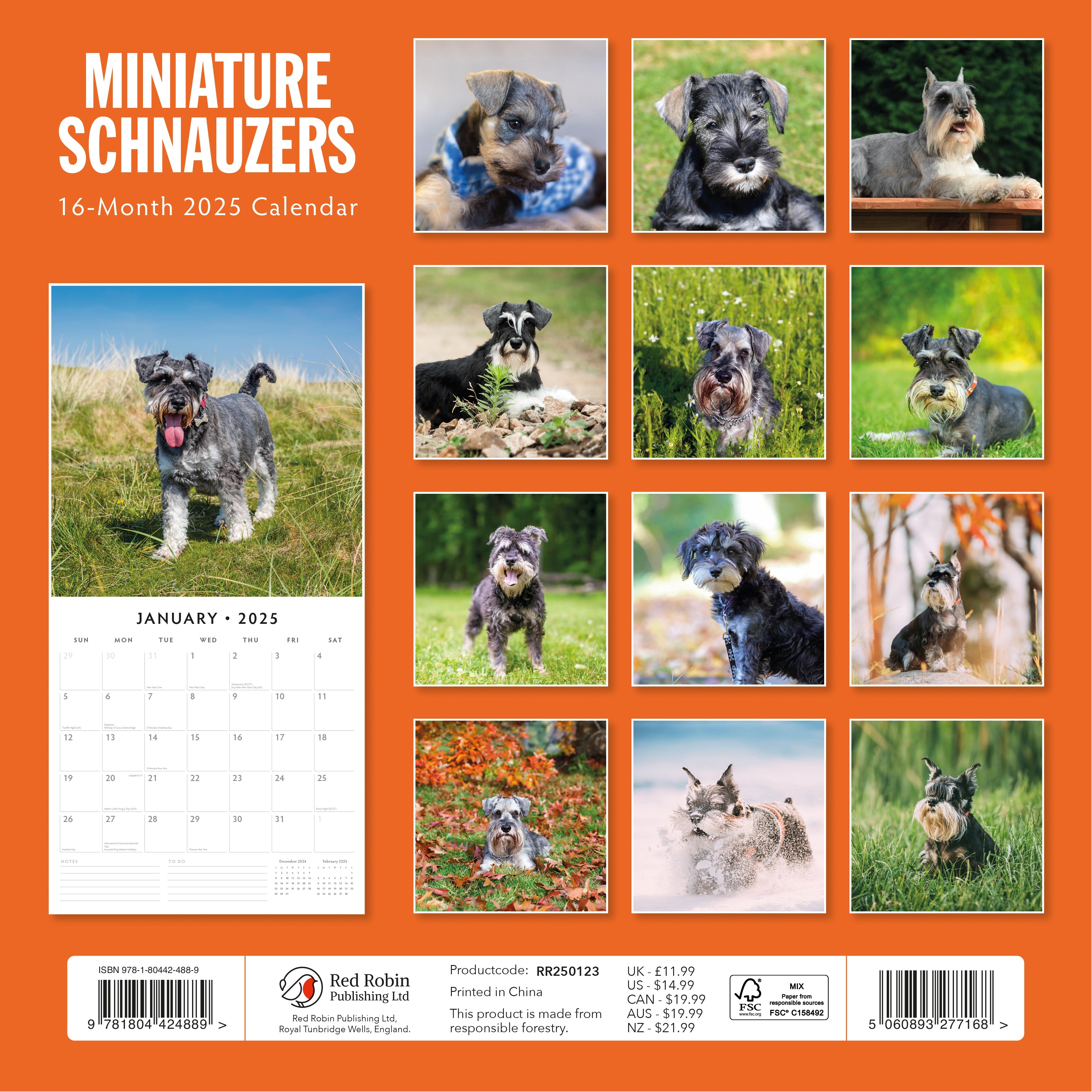 2025 Miniature Schnauzer - Square Wall Calendar