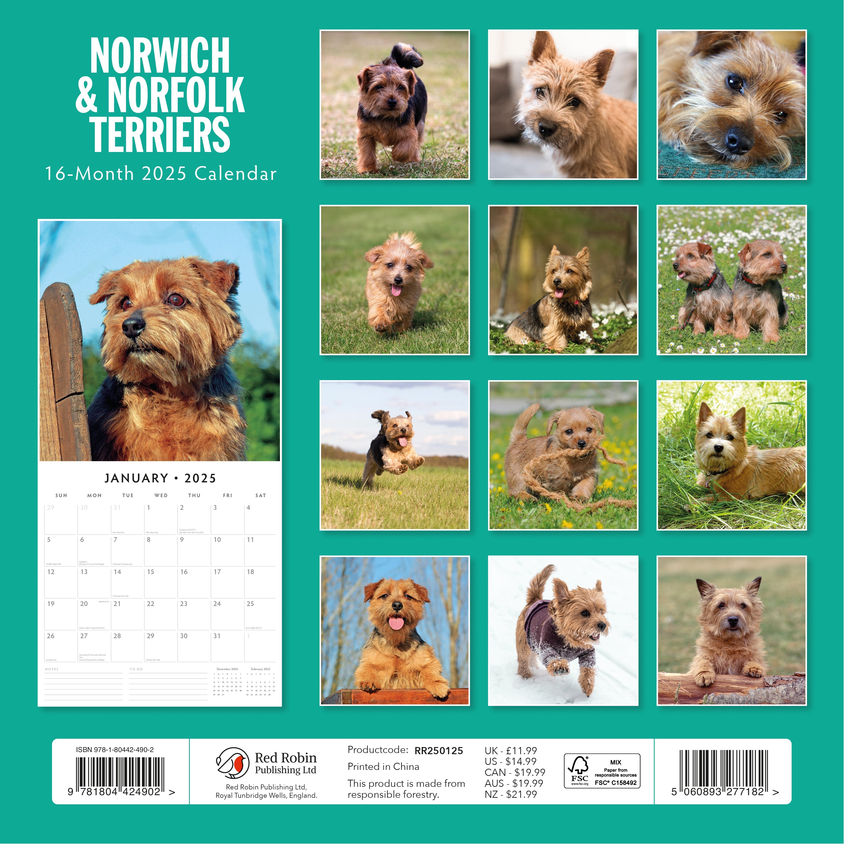 2025 Norwich & Norfolk Terriers - Square Wall Calendar