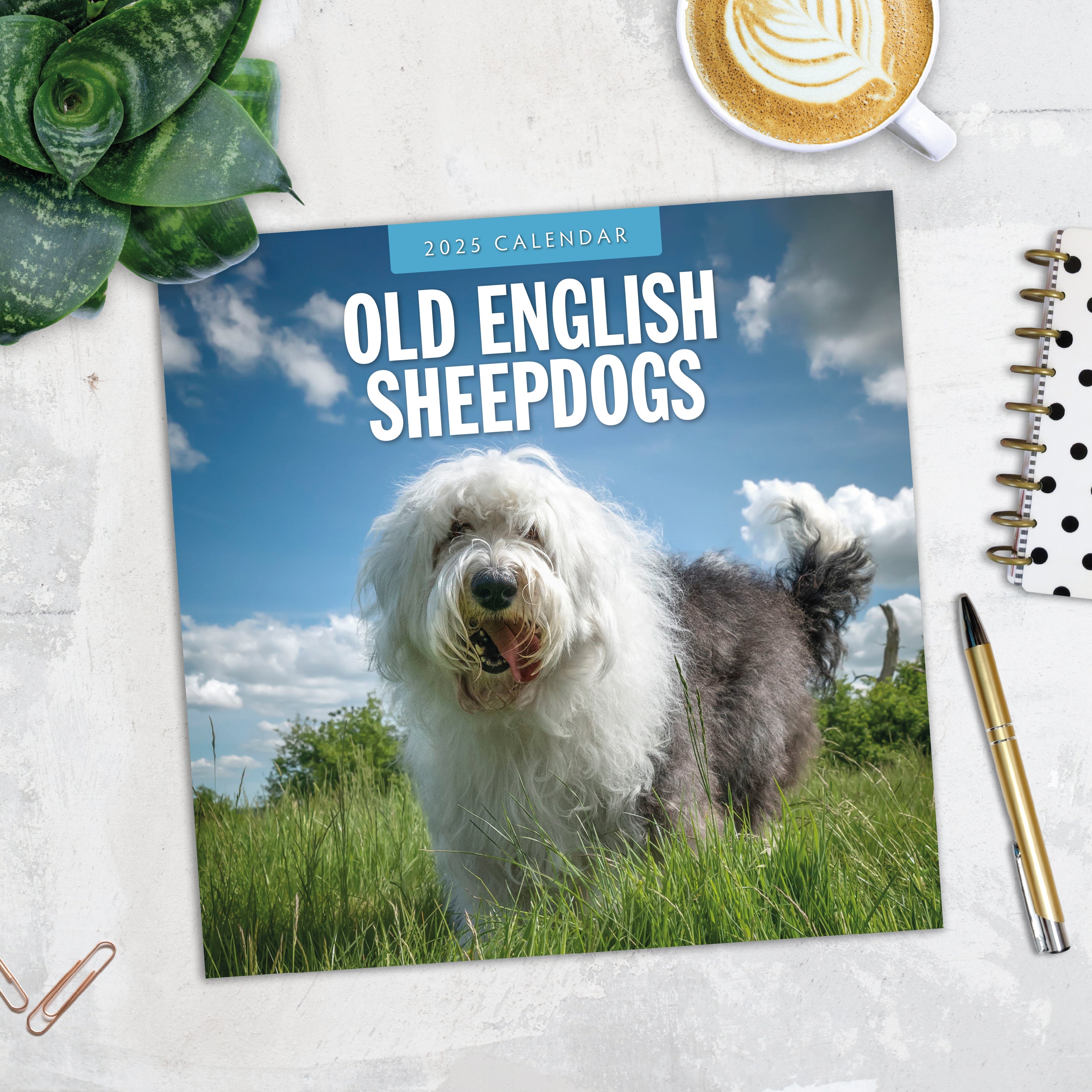 2025 Old English Sheepdogs - Square Wall Calendar