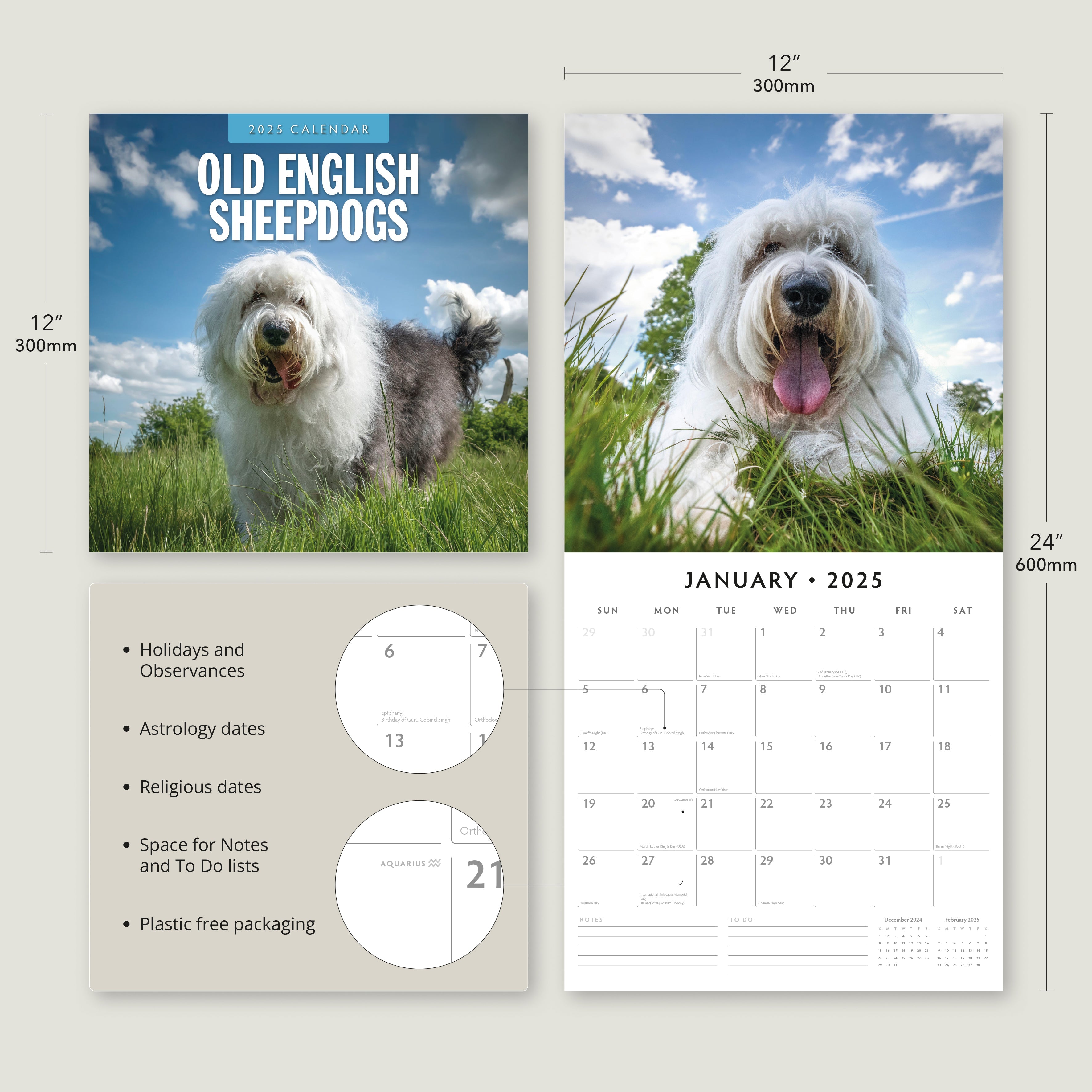 2025 Old English Sheepdogs - Square Wall Calendar