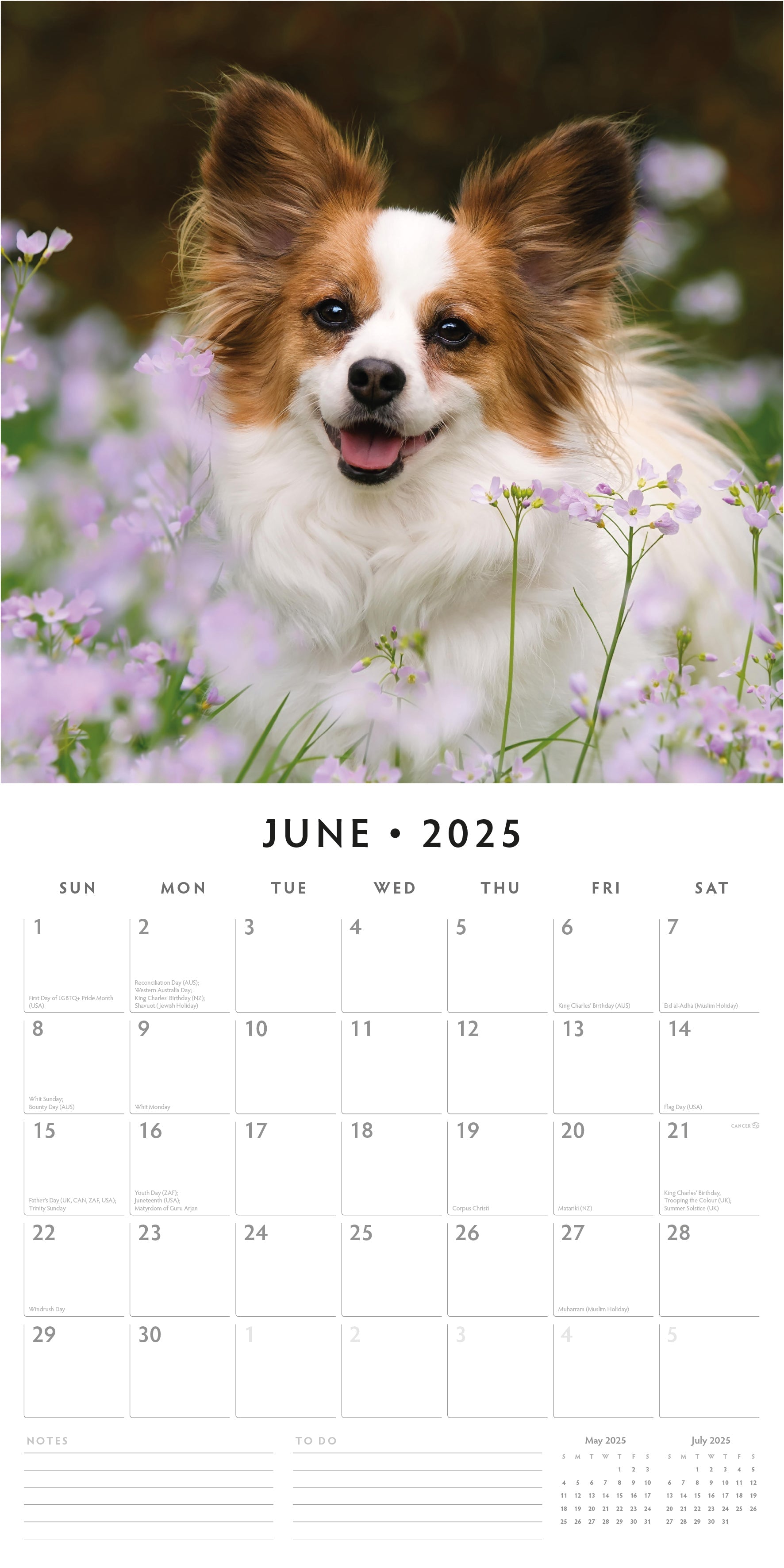 2025 Papillions - Square Wall Calendar