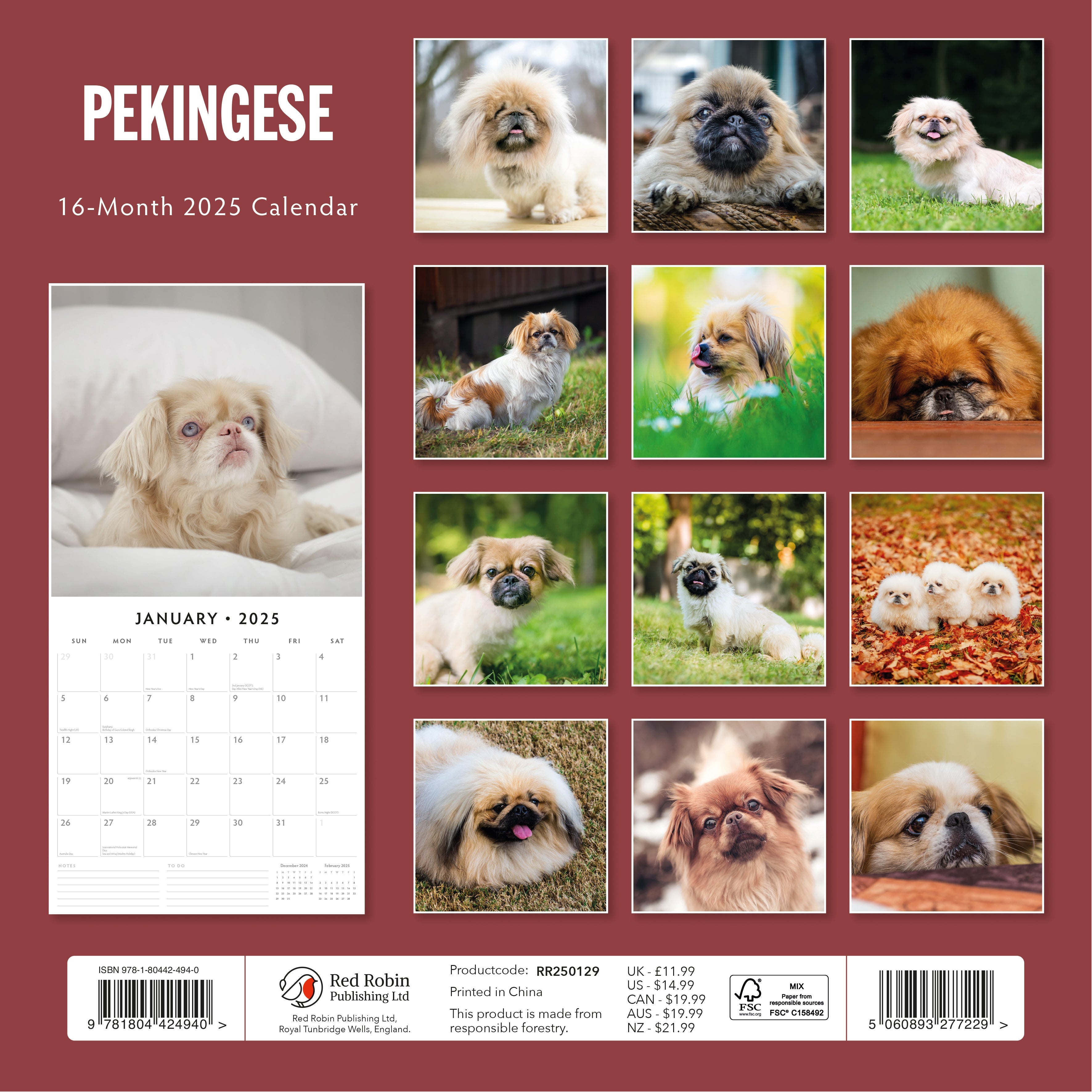 2025 Pekingese - Square Wall Calendar