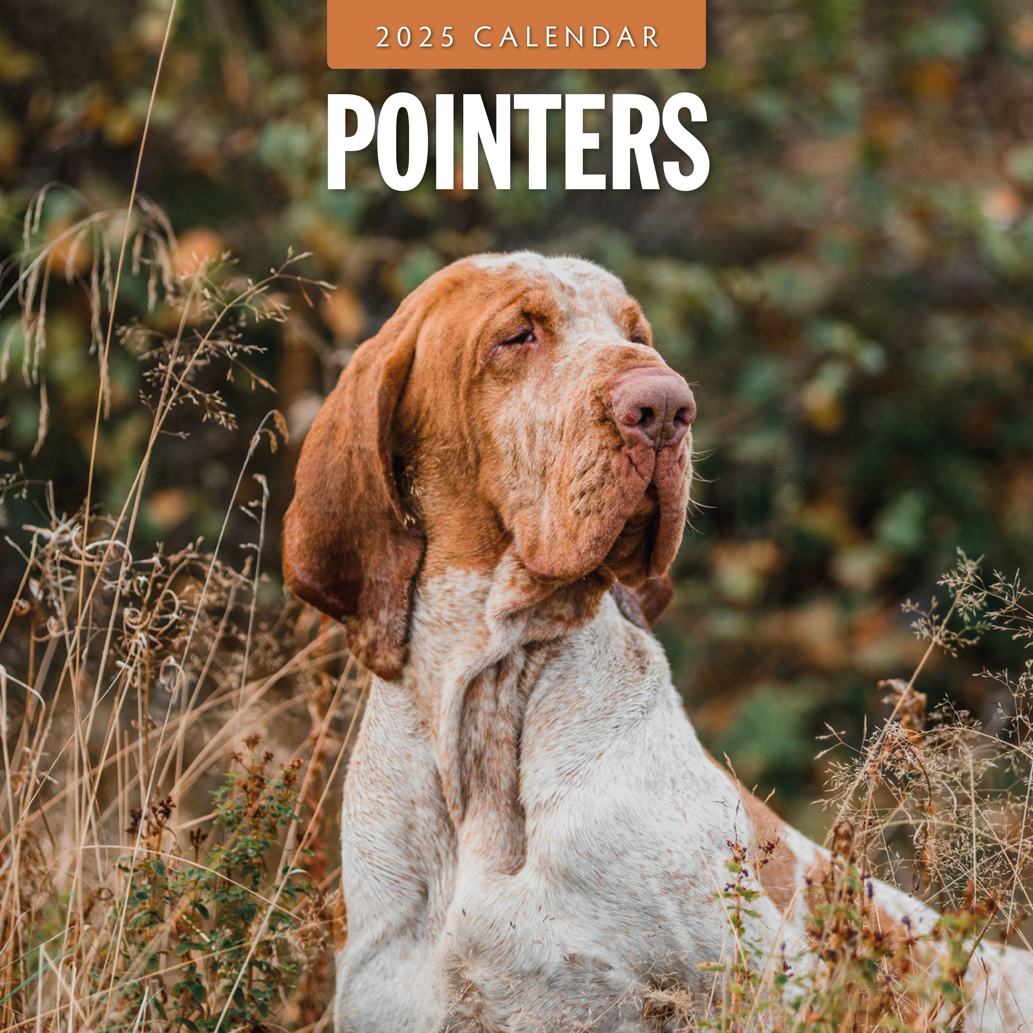 2025 Pointers - Square Wall Calendar