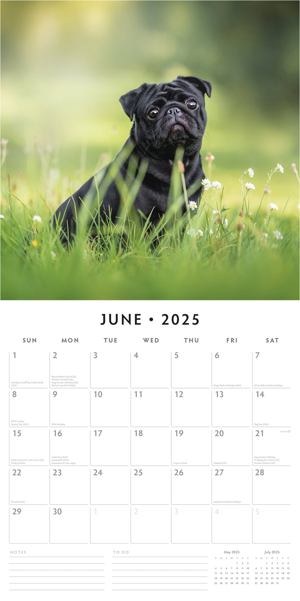 Dogs Calendar 2025 Over 100 Breeds To Choose From