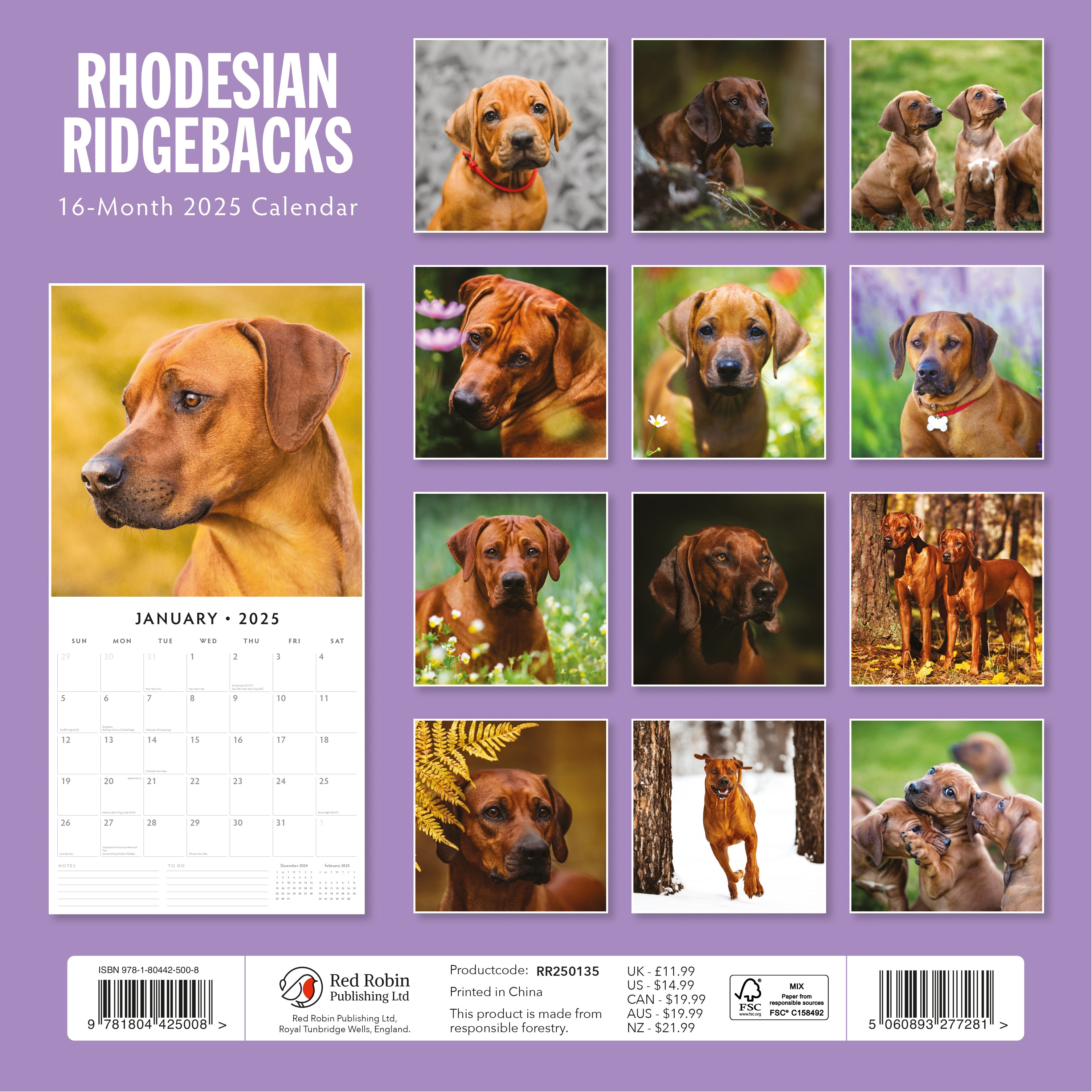 2025 Rhodesian Ridgeback - Square Wall Calendar