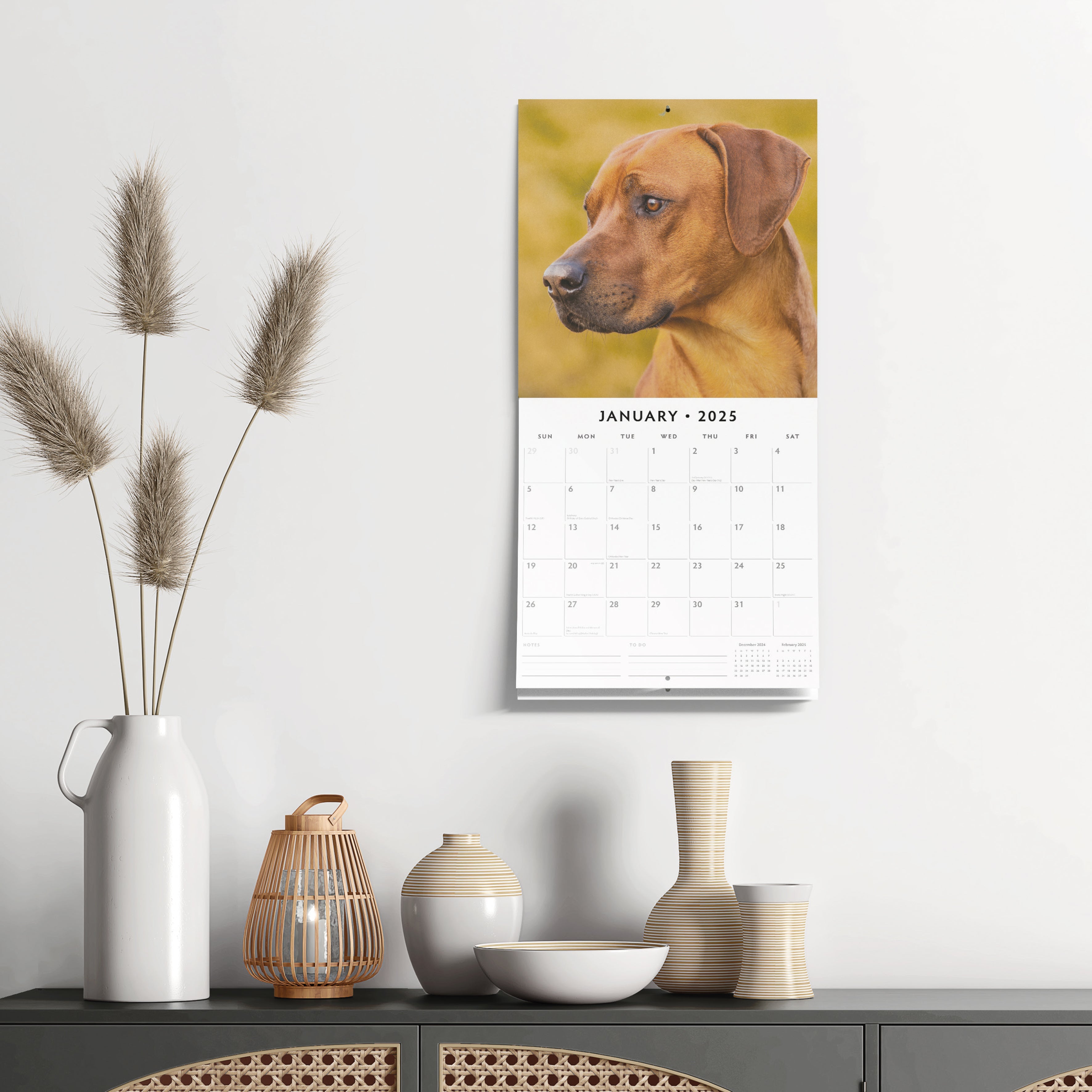 2025 Rhodesian Ridgeback - Square Wall Calendar