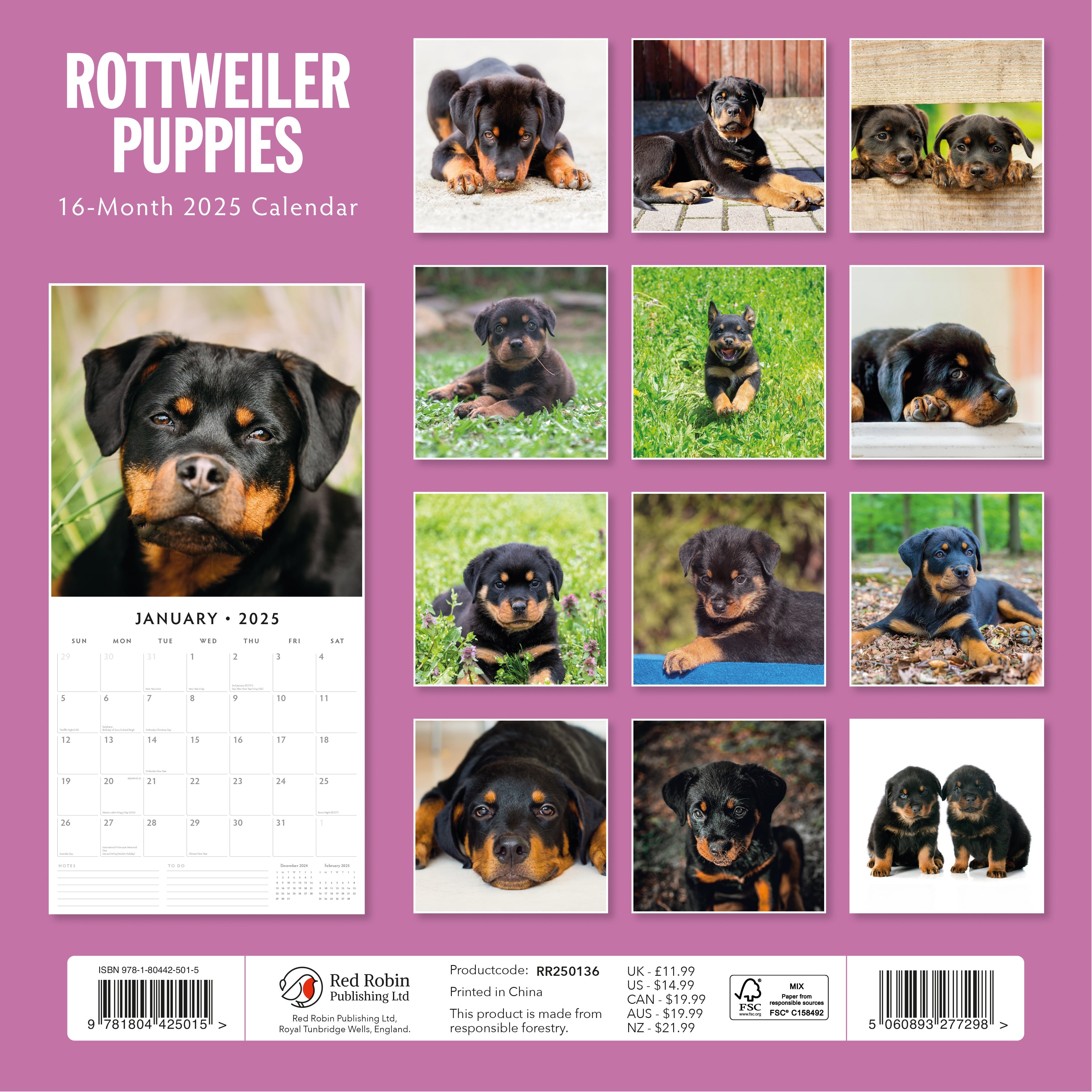 2025 Rottweiler Puppies - Square Wall Calendar