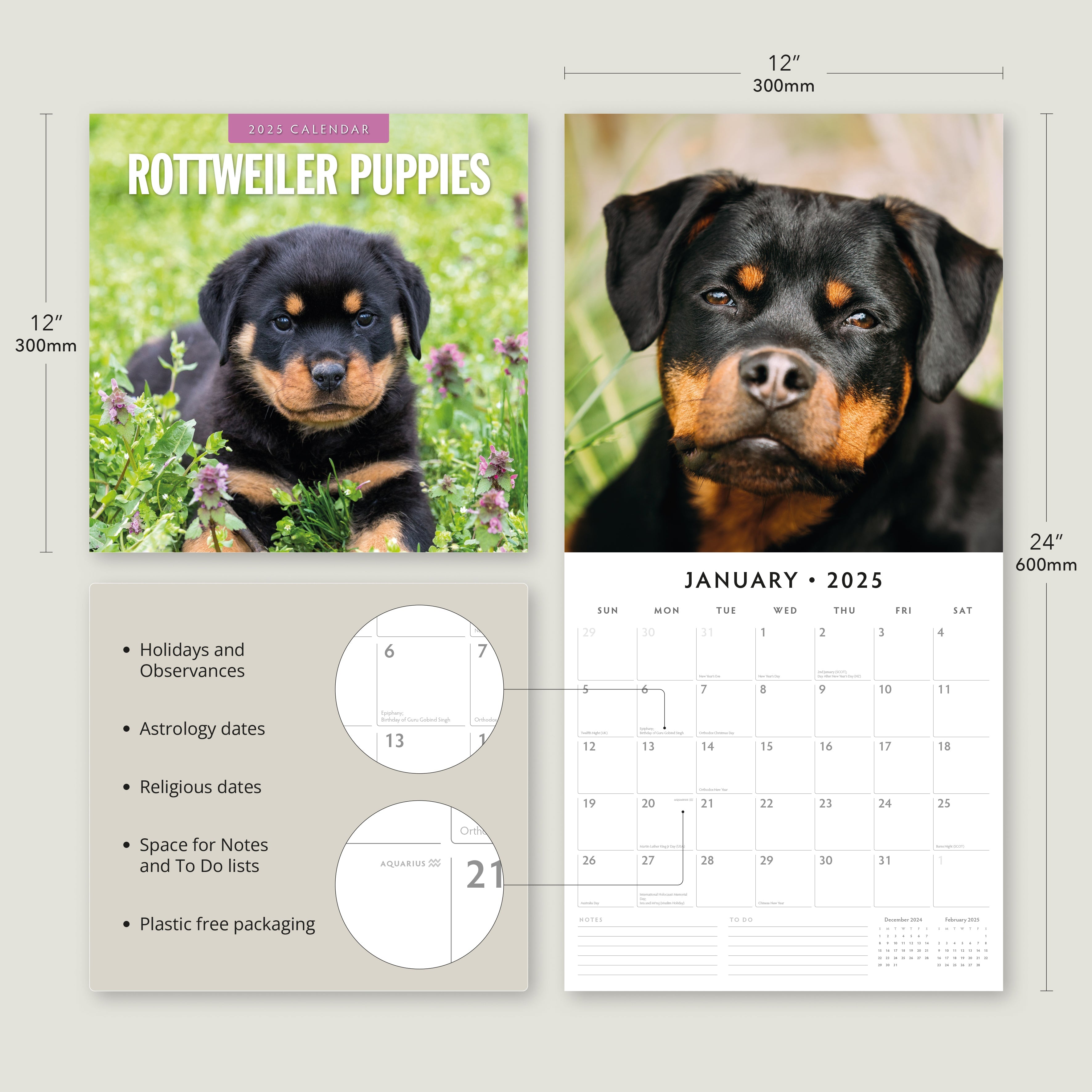 2025 Rottweiler Puppies - Square Wall Calendar