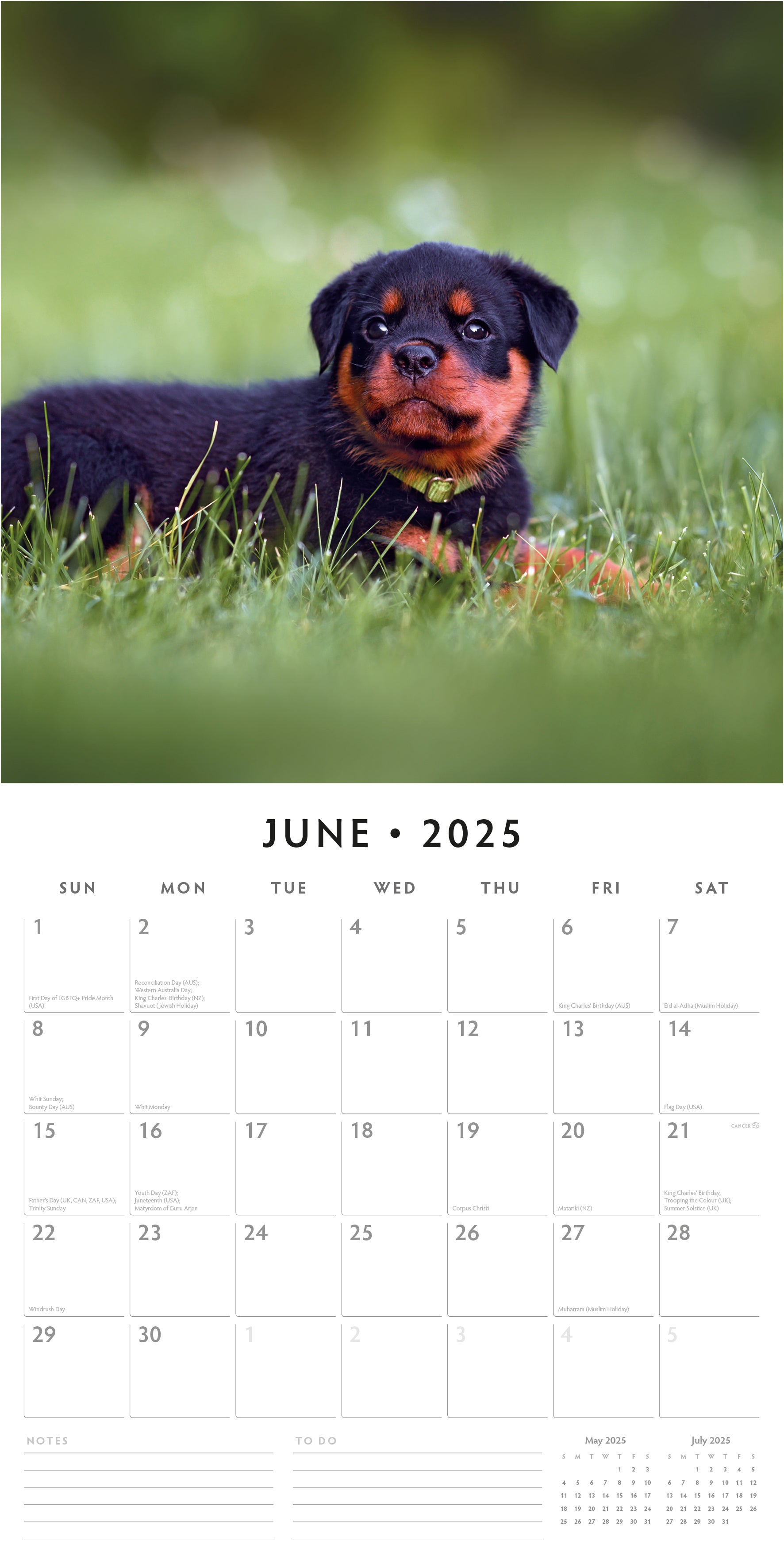 2025 Rottweilers - Square Wall Calendar