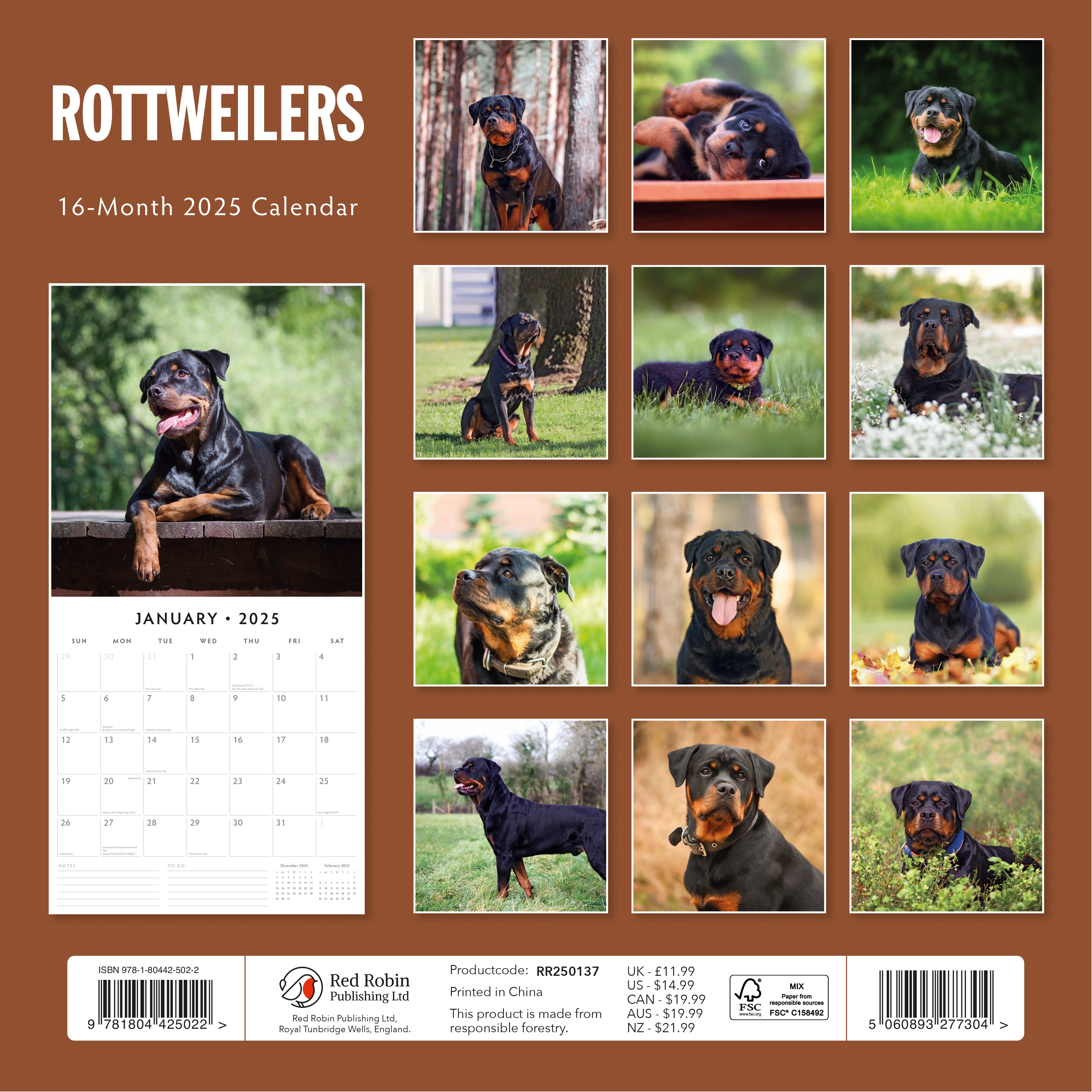 2025 Rottweilers - Square Wall Calendar