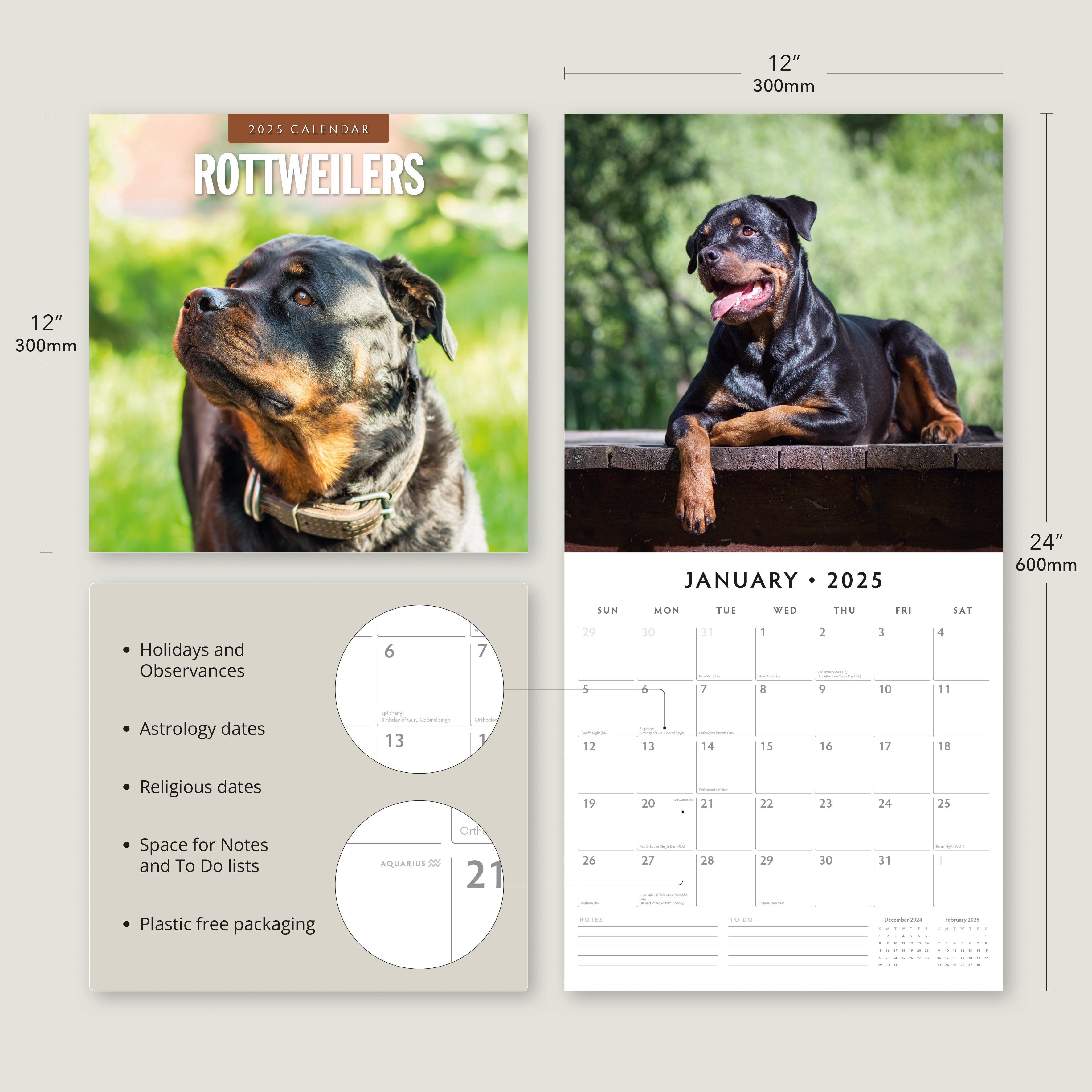 2025 Rottweilers - Square Wall Calendar