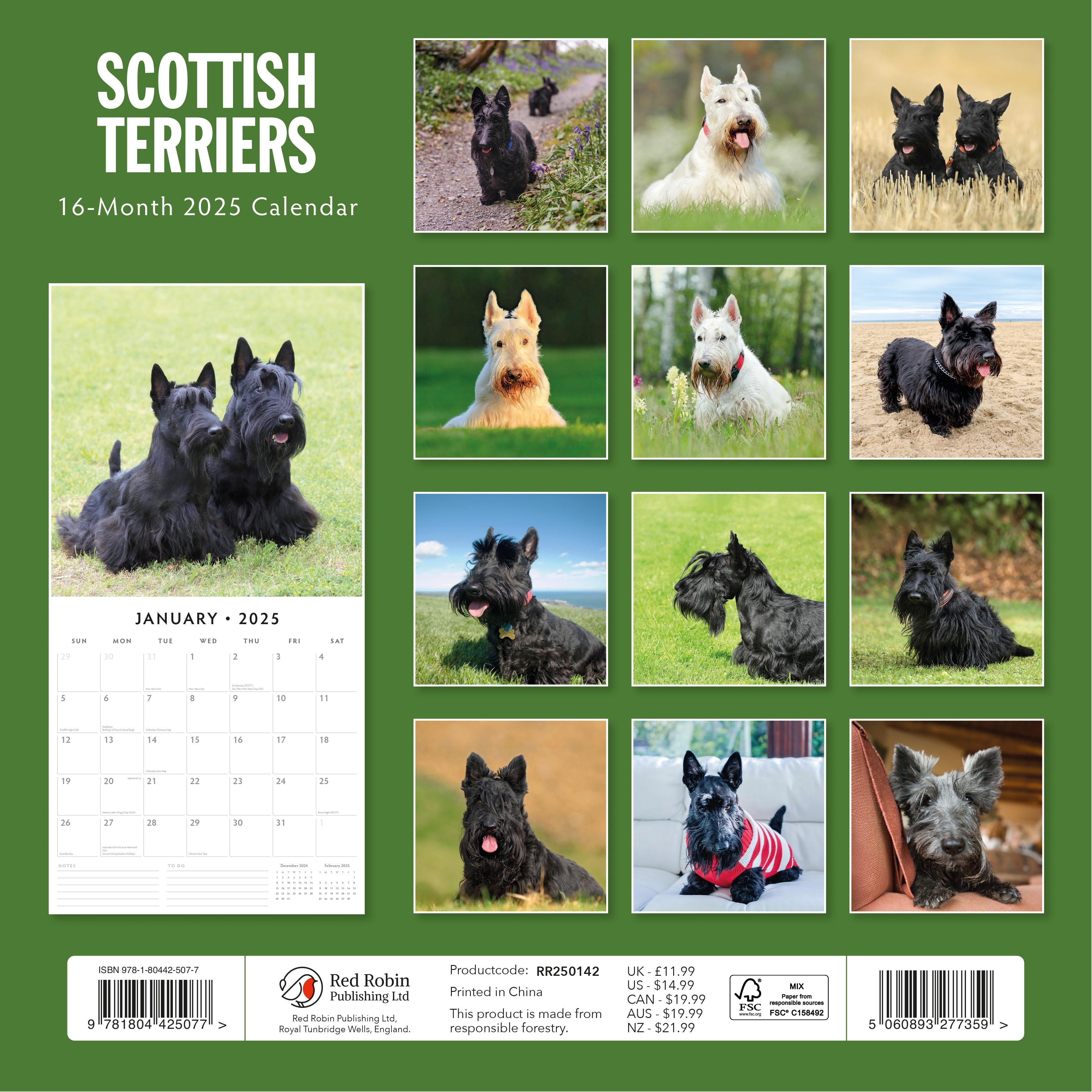 2025 Scottish Terriers - Square Wall Calendar