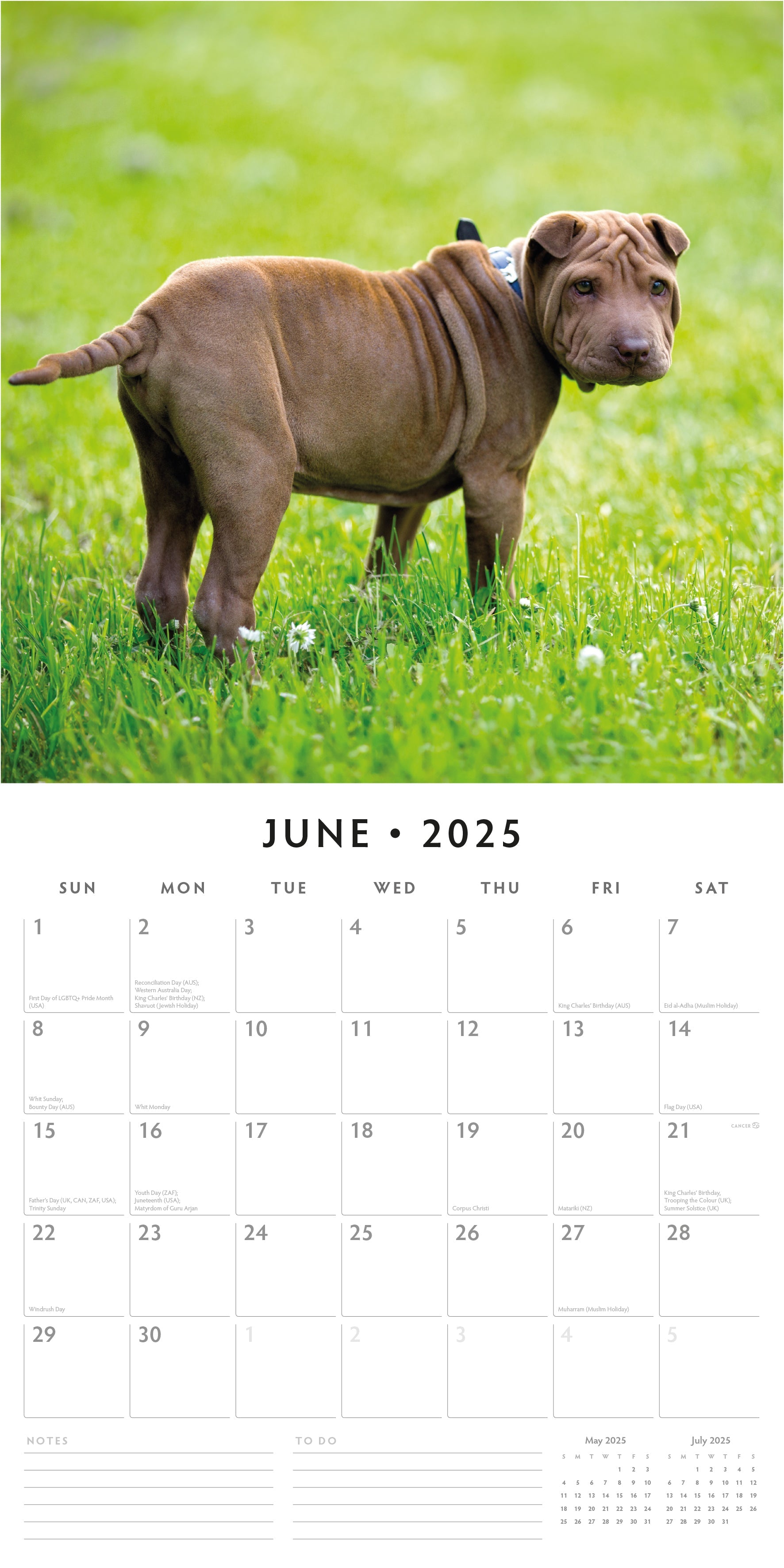 2025 Shar-Pei - Square Wall Calendar