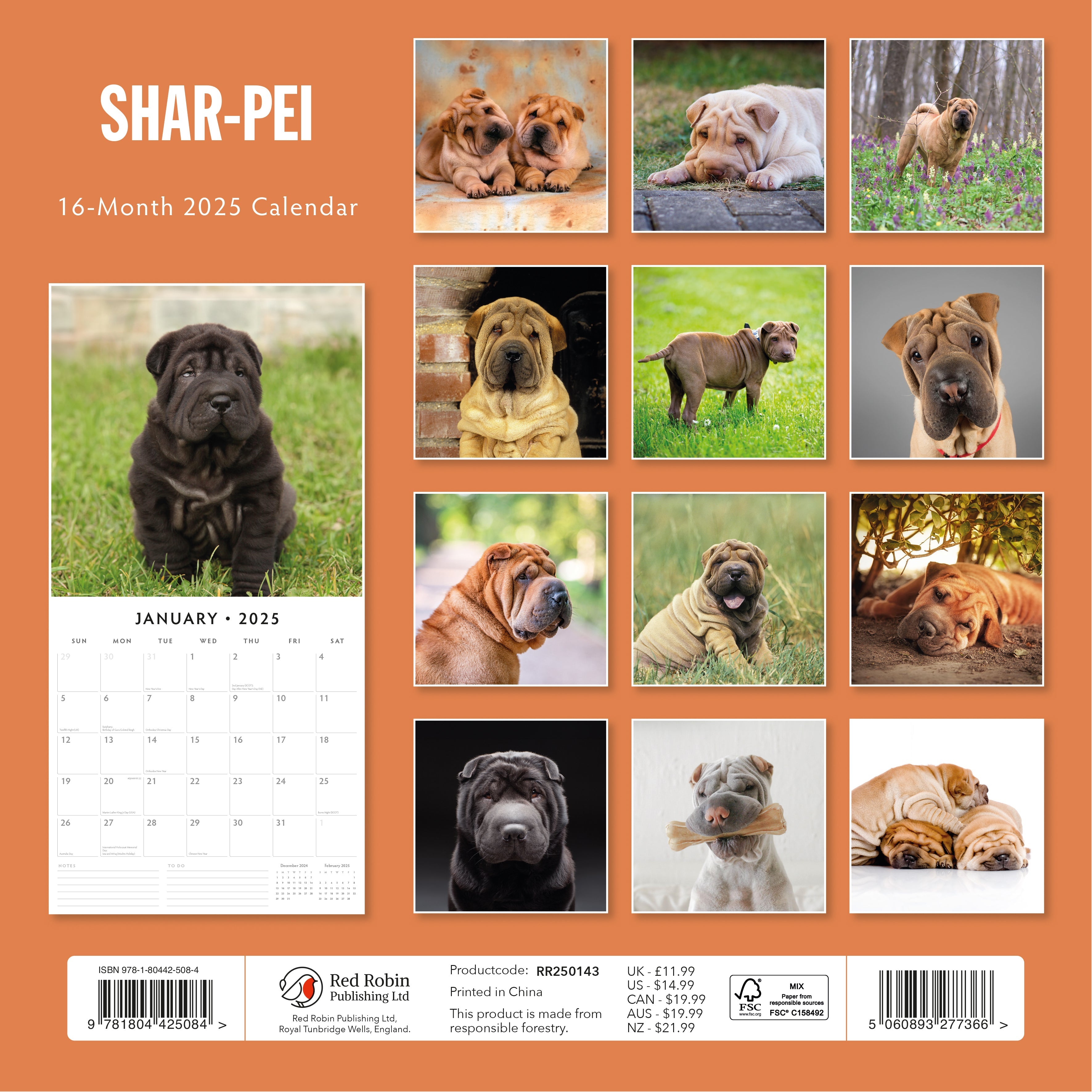 2025 Shar-Pei - Square Wall Calendar