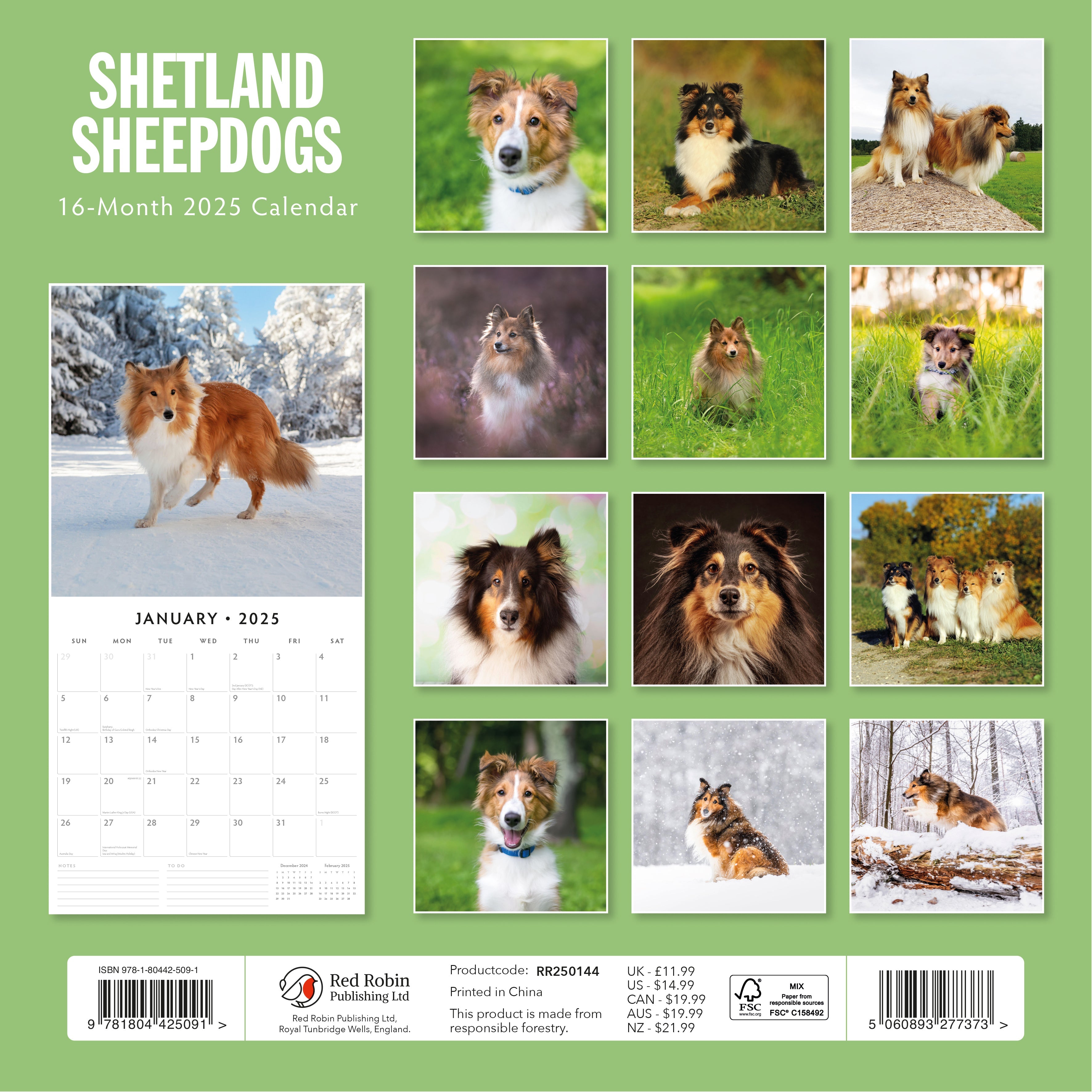 2025 Shetland Sheepdogs - Square Wall Calendar