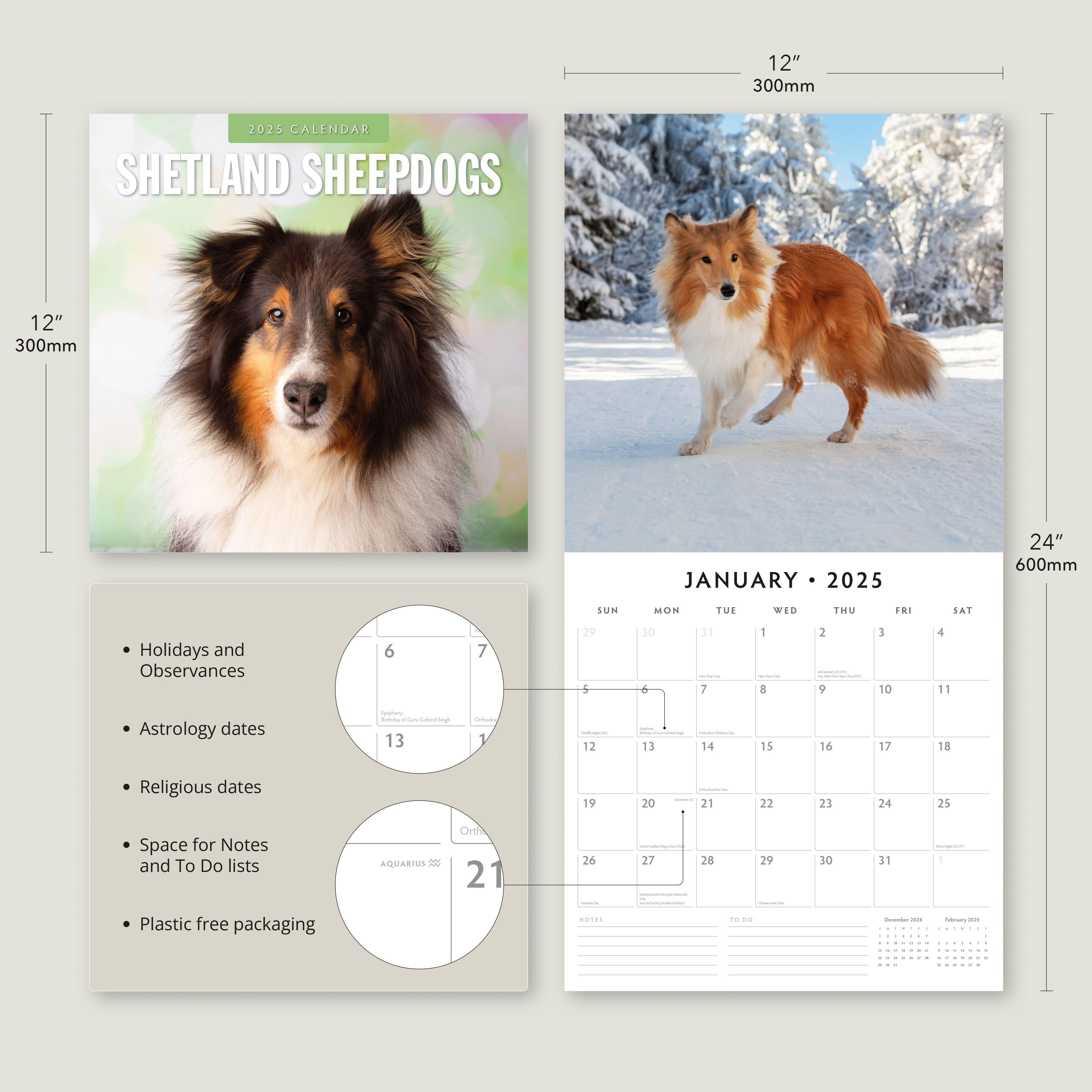 2025 Shetland Sheepdogs - Square Wall Calendar