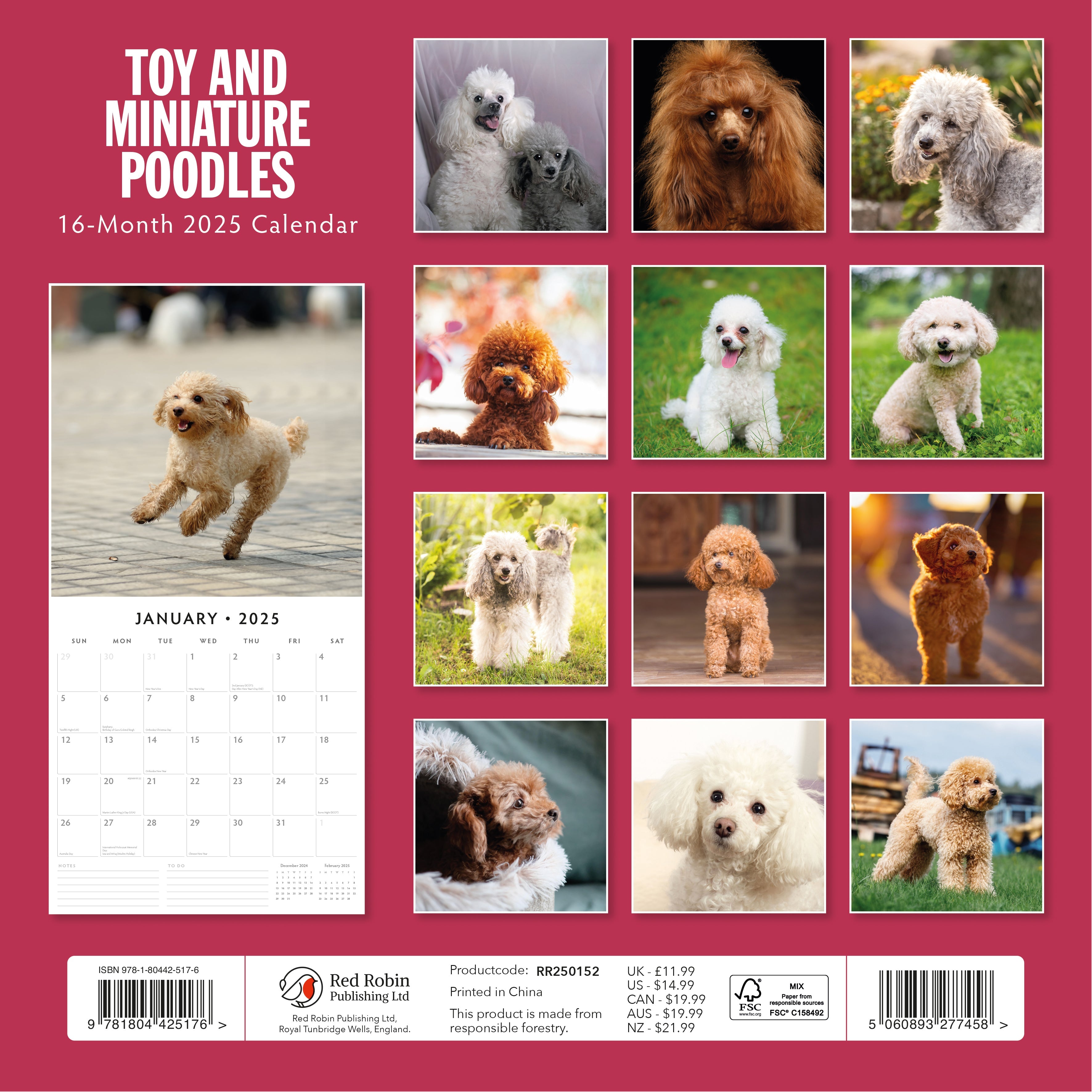 2025 Toy and Miniature Poodles - Square Wall Calendar