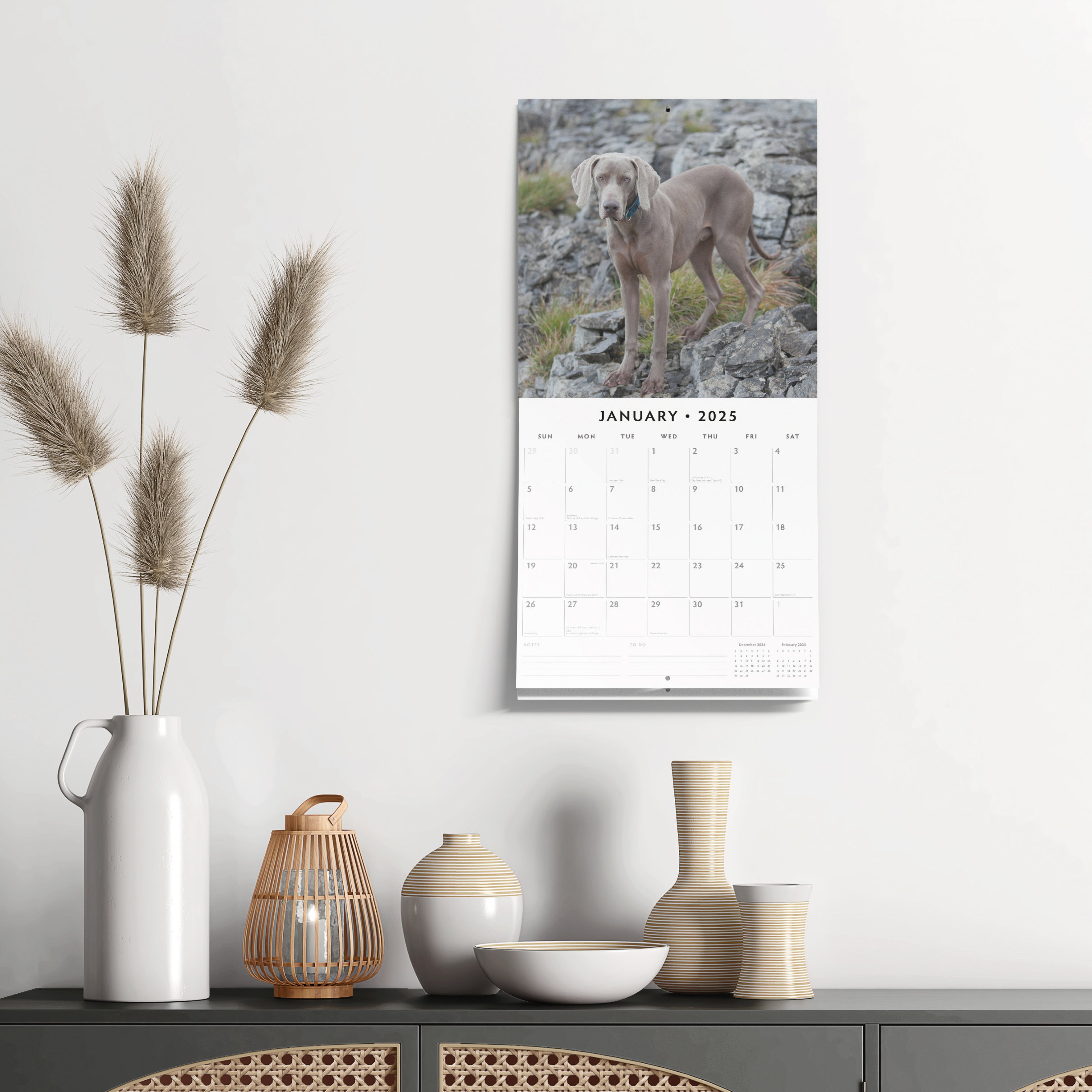 2025 Weimaraners - Square Wall Calendar