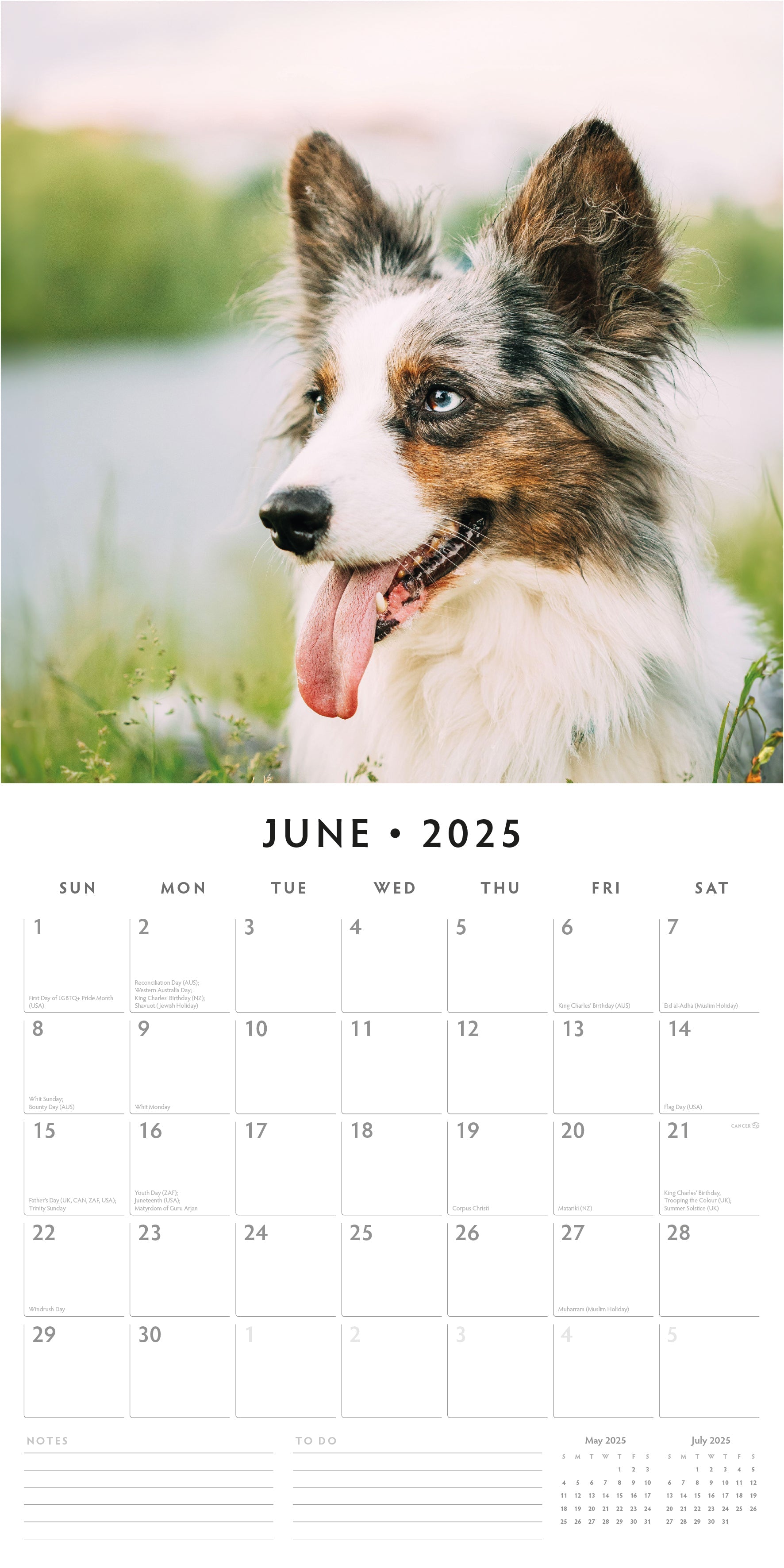 2025 Welsh Corgis - Square Wall Calendar