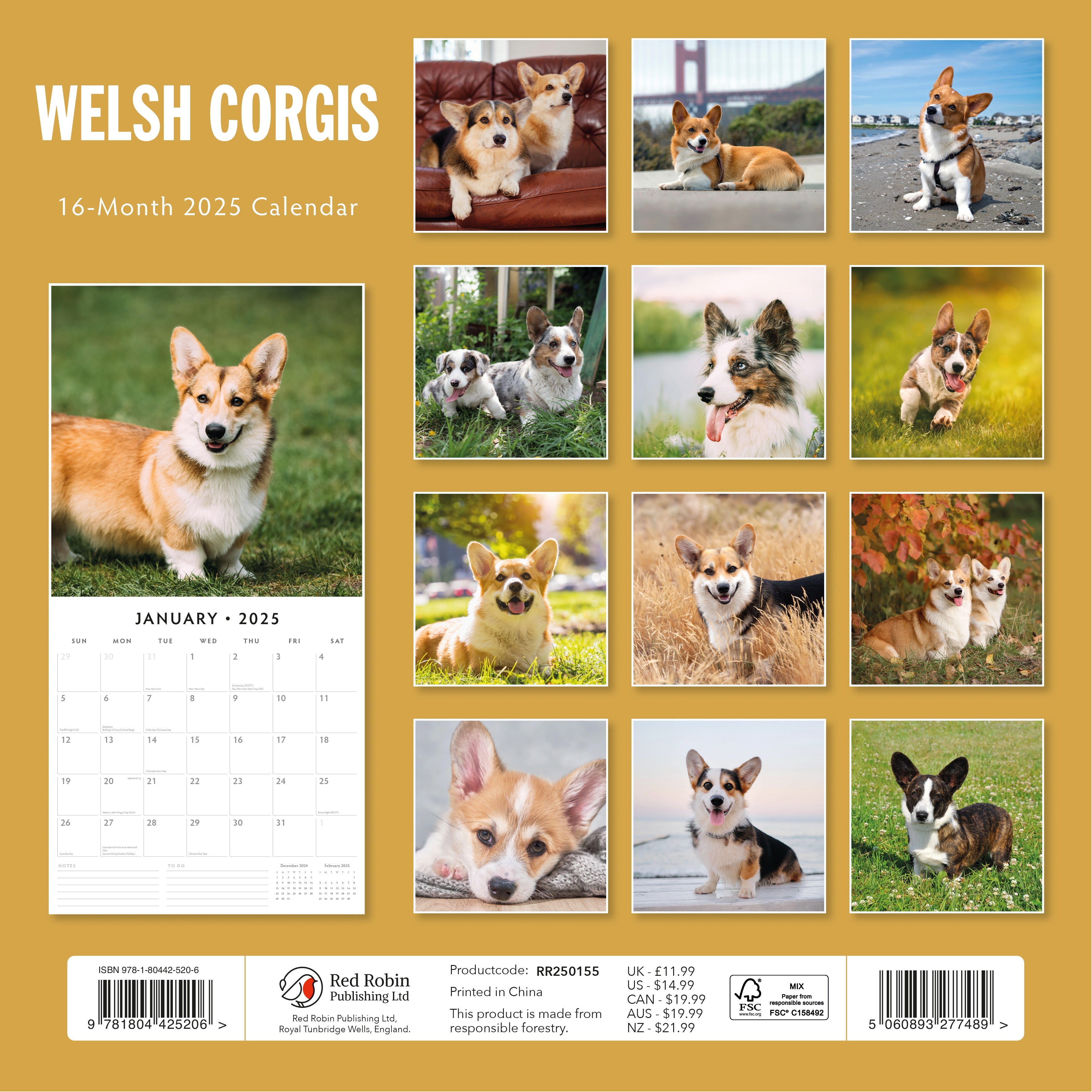 Welsh Corgi Calendar 2025