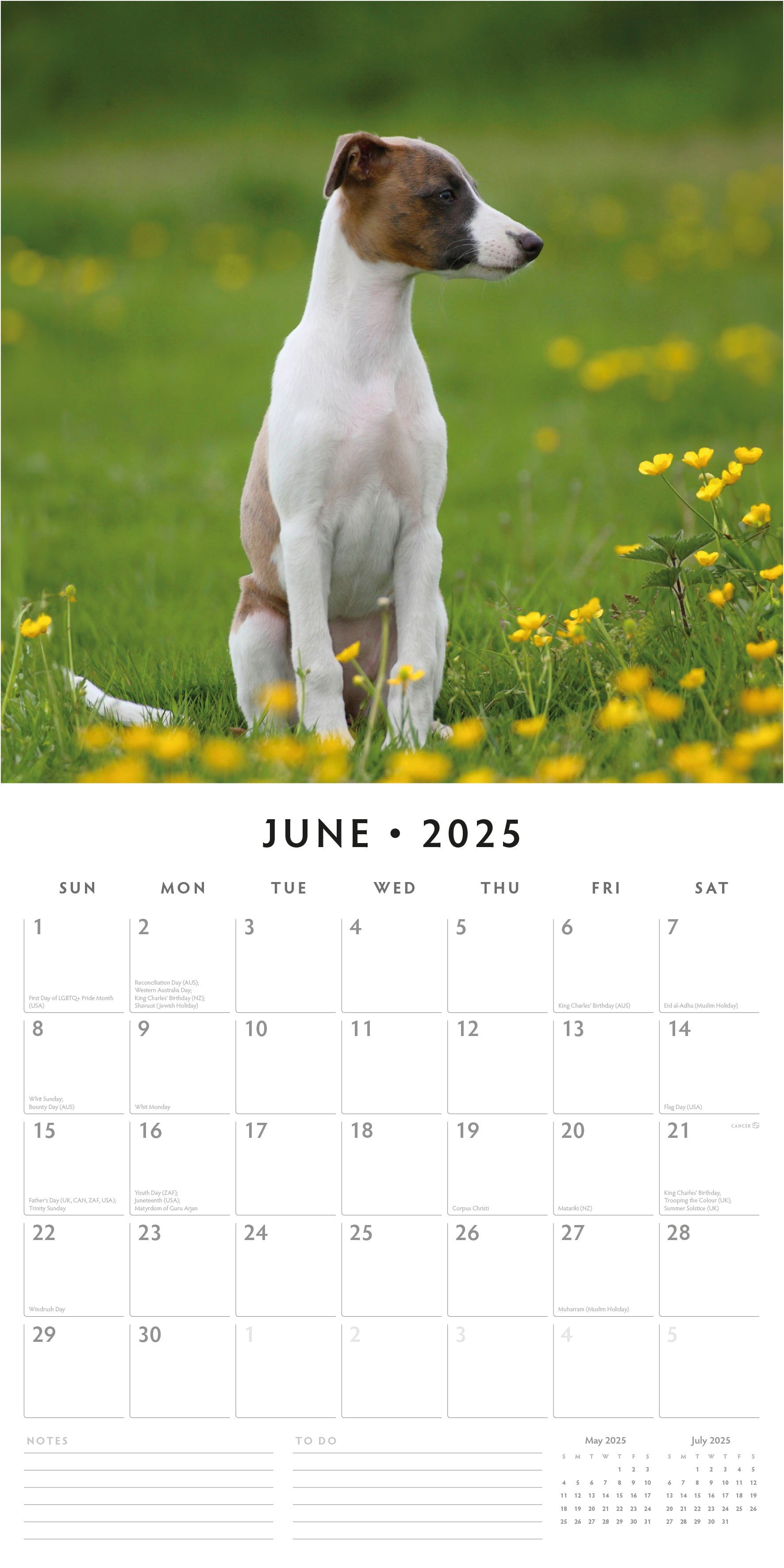 2025 Whippets - Square Wall Calendar