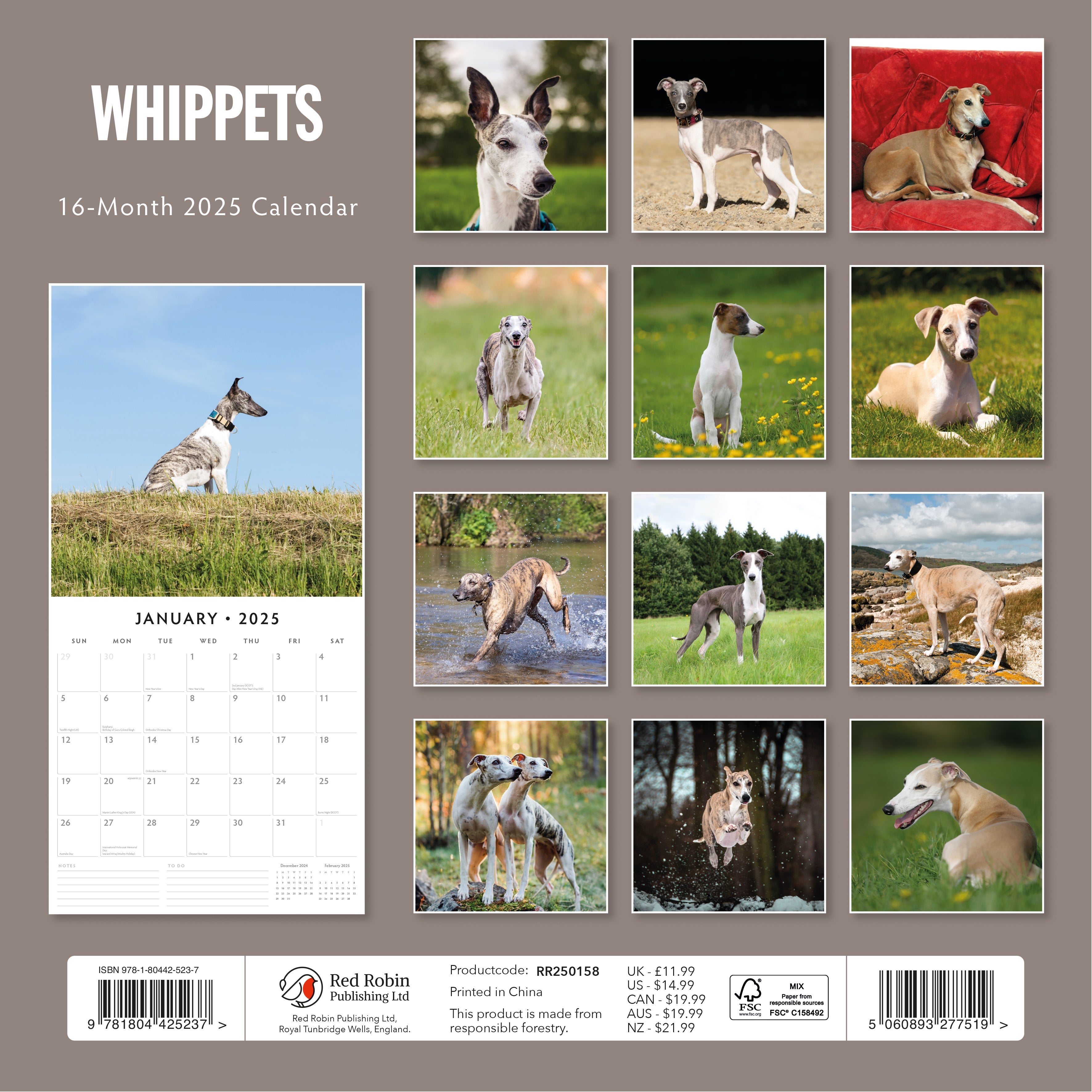 2025 Whippets - Square Wall Calendar