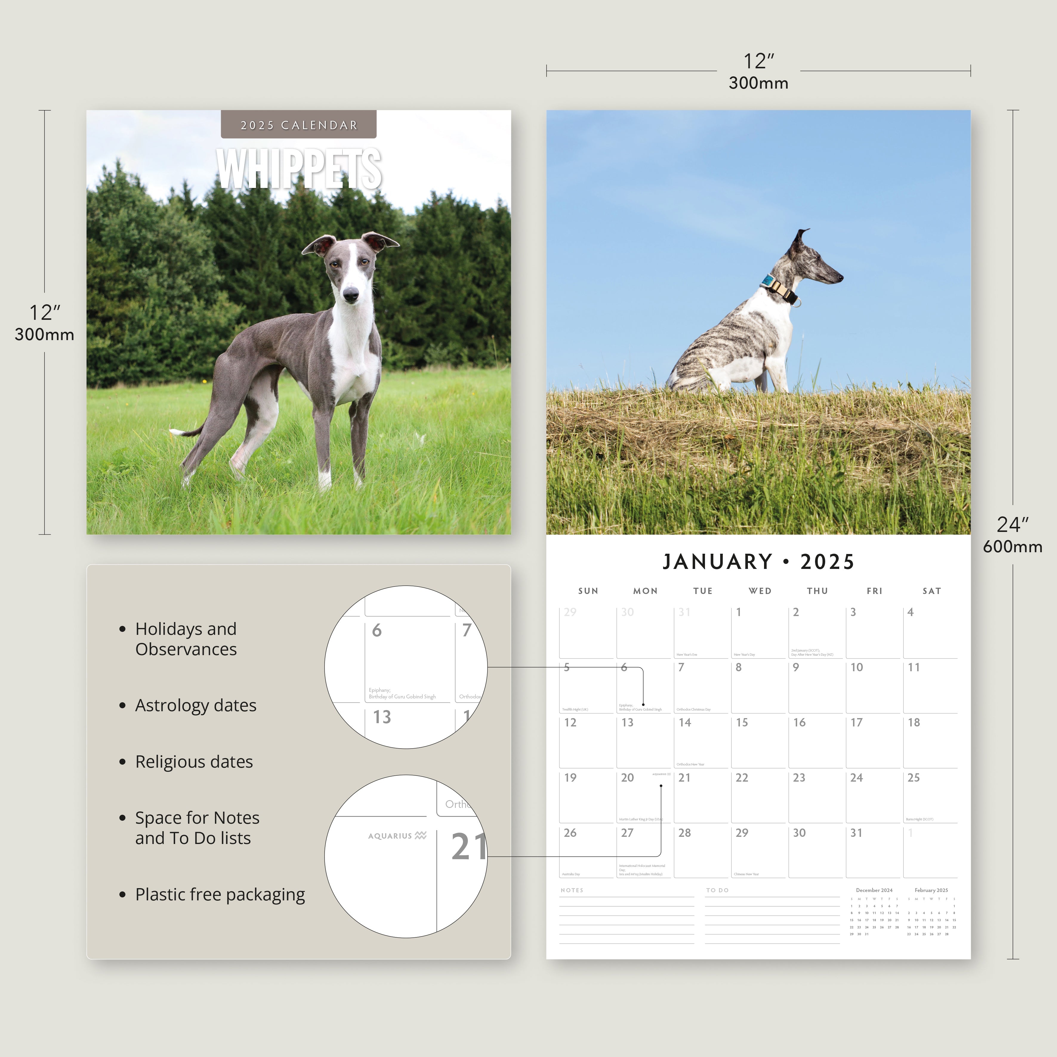 2025 Whippets - Square Wall Calendar