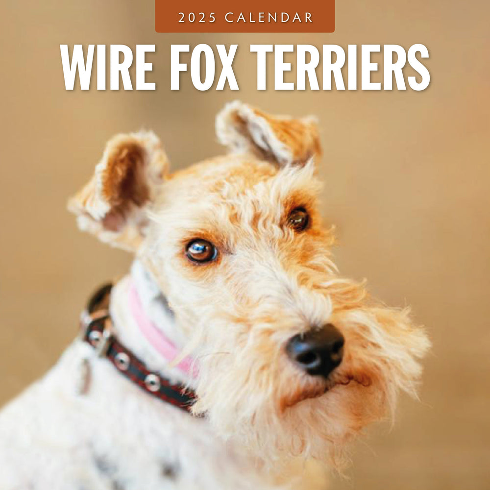 2025 Wire Fox Terriers Square Wall Calendar